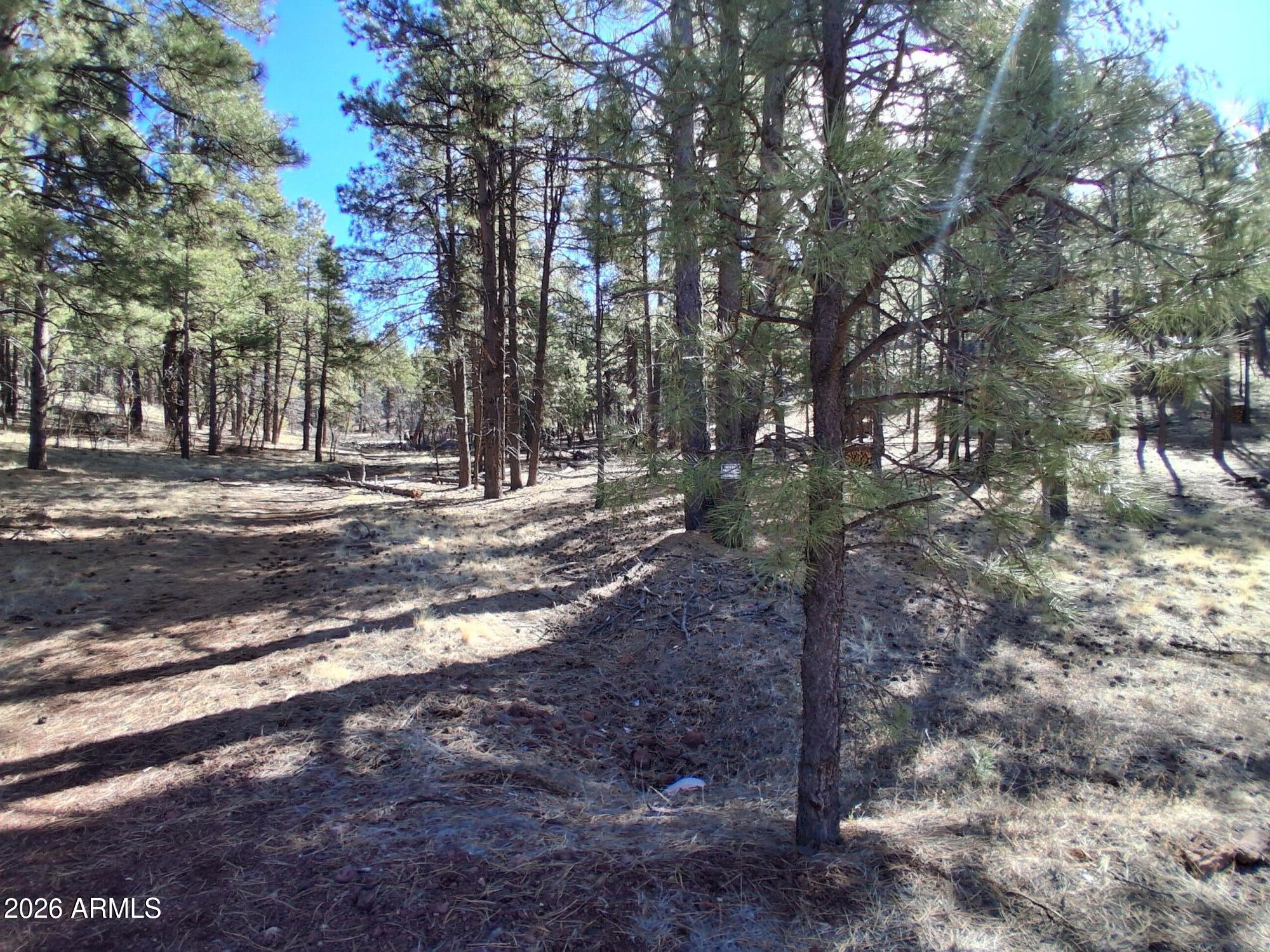 SHERWOOD FOREST PARK - Land