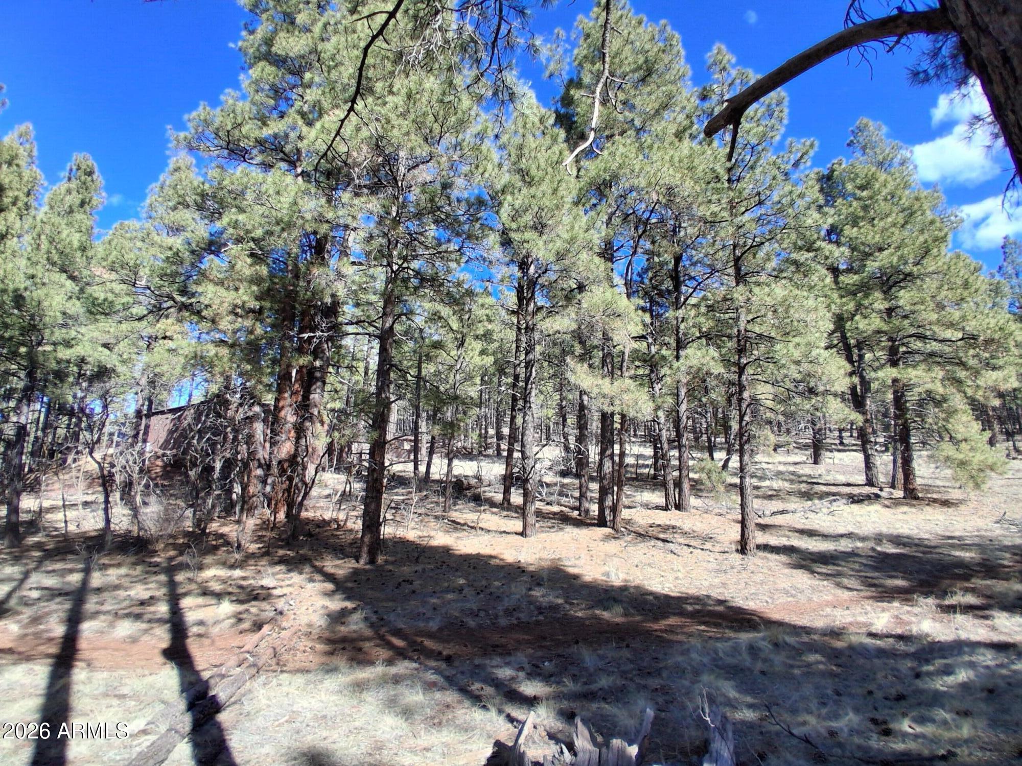 SHERWOOD FOREST PARK - Land