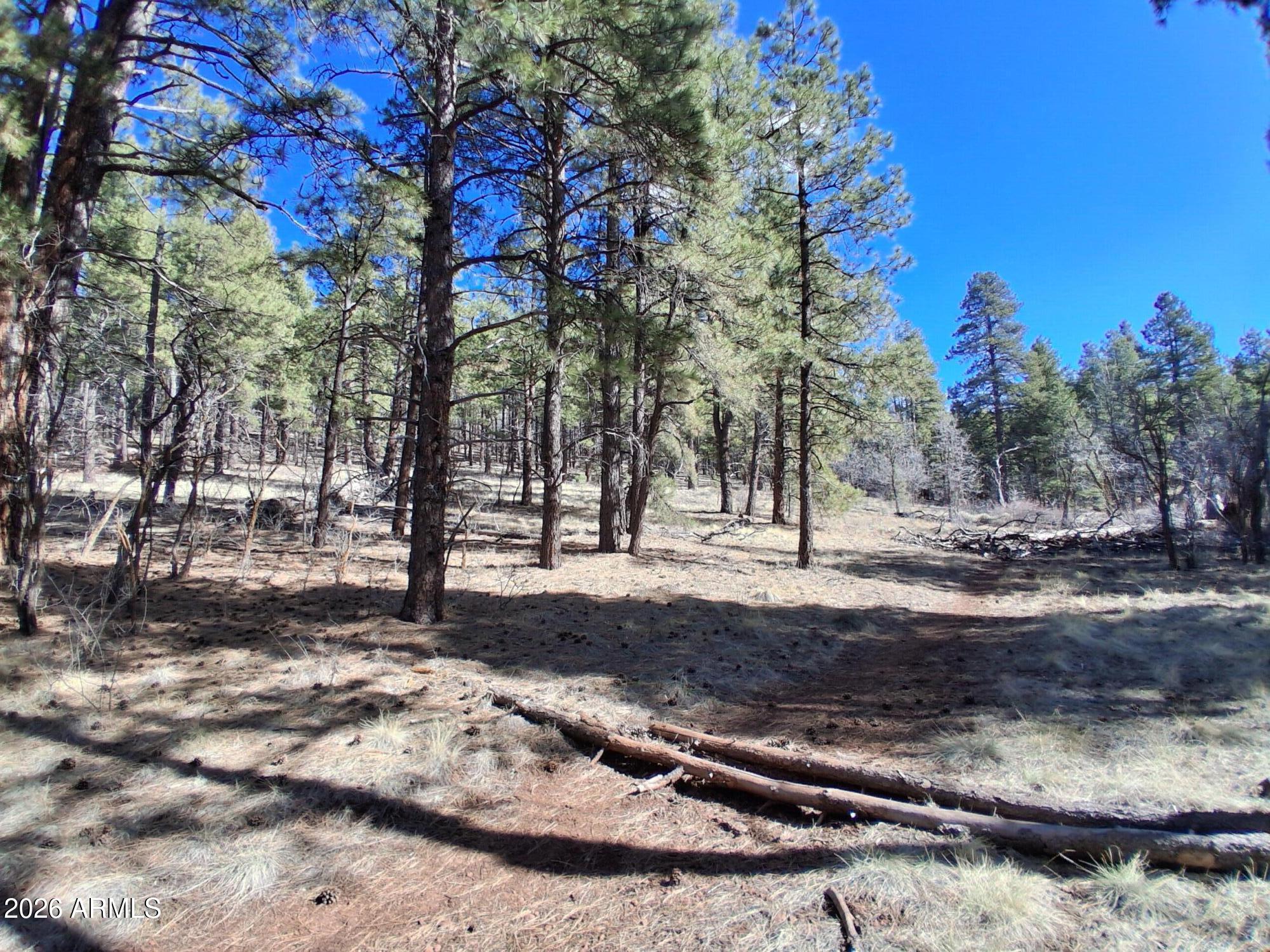 SHERWOOD FOREST PARK - Land