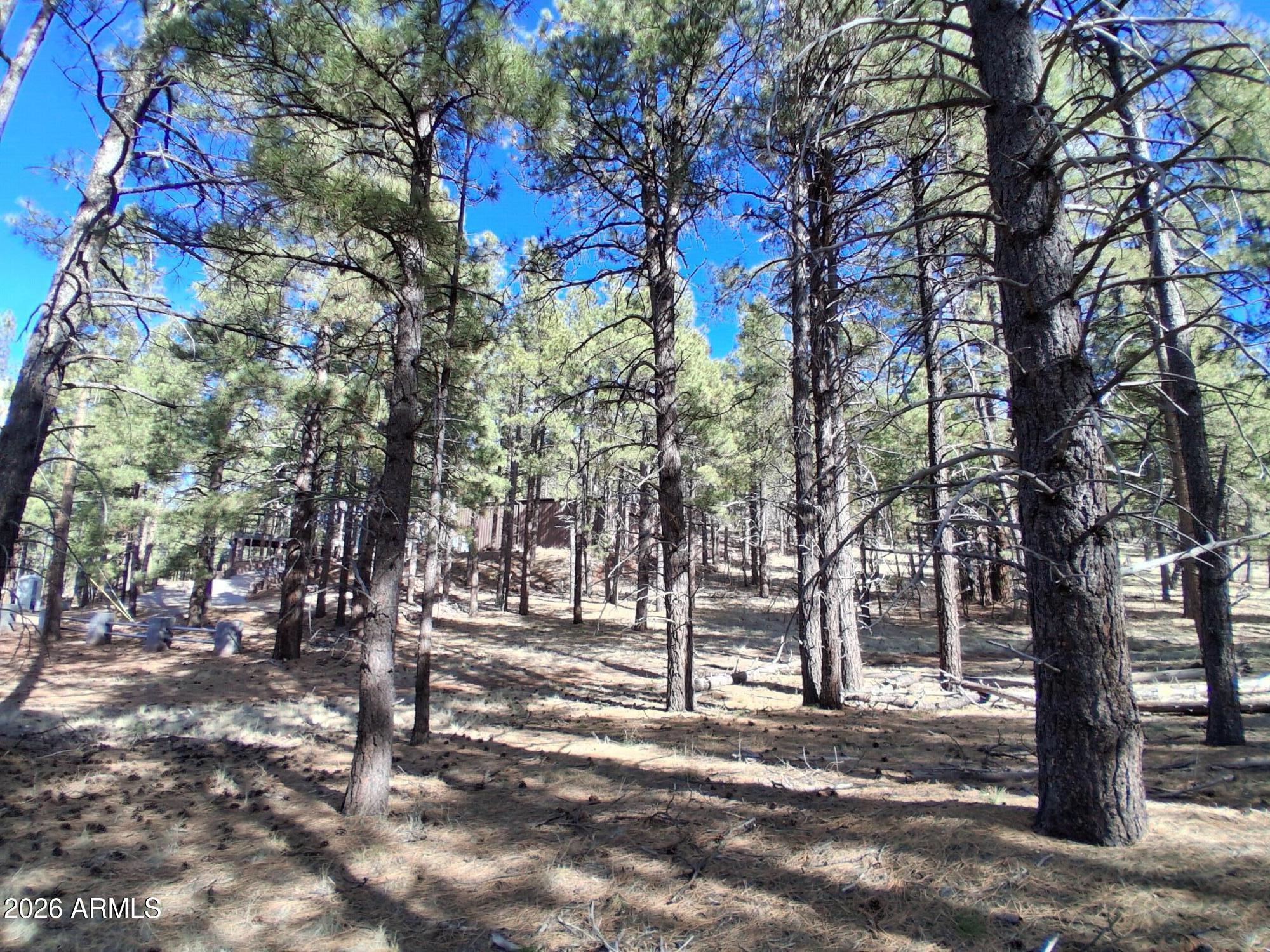 SHERWOOD FOREST PARK - Land