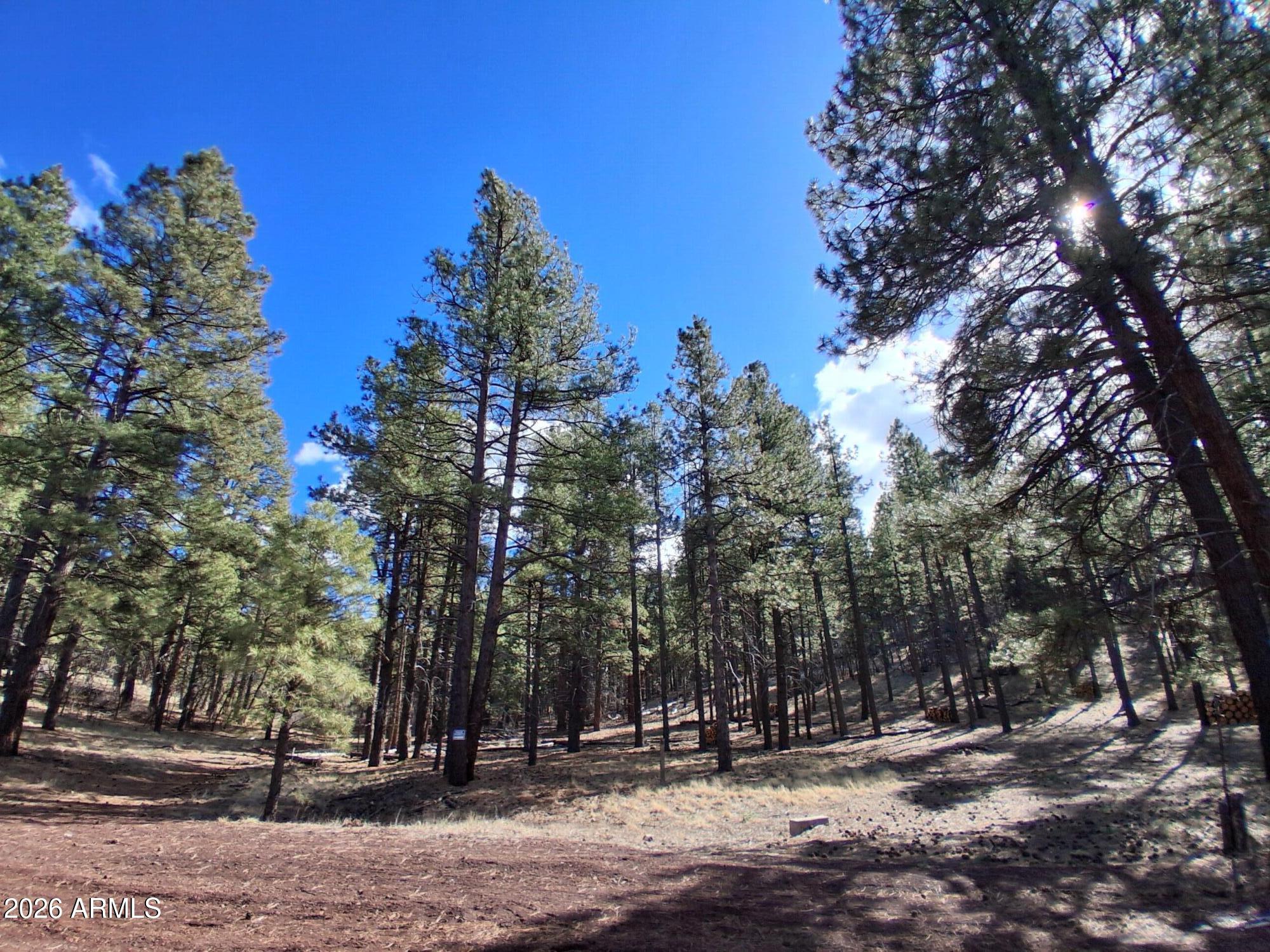 SHERWOOD FOREST PARK - Land