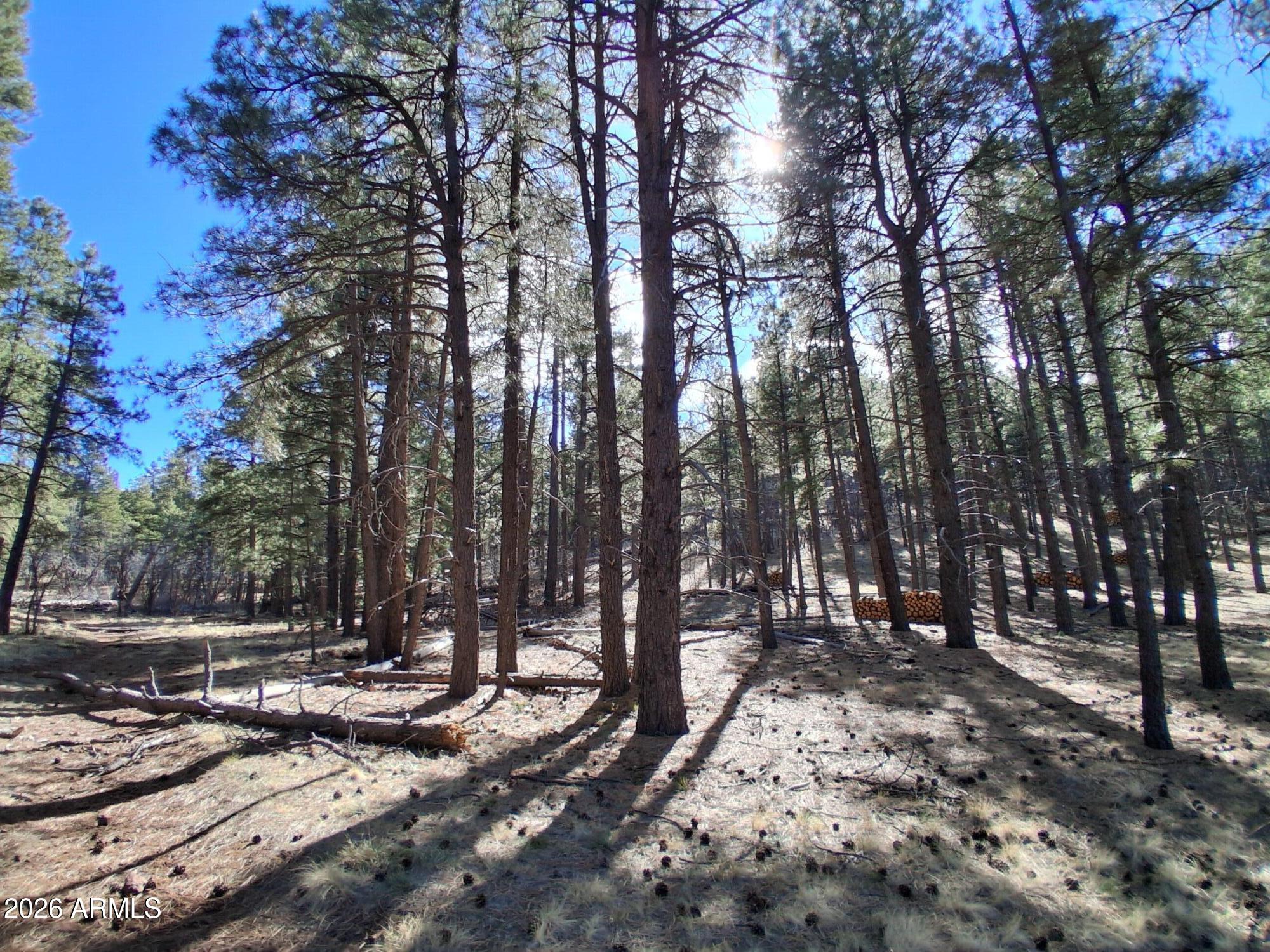 SHERWOOD FOREST PARK - Land