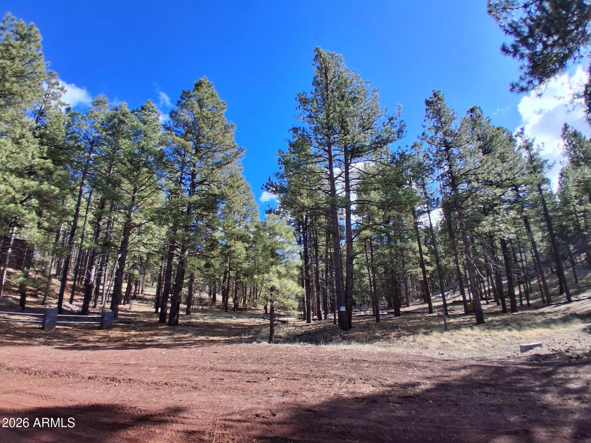 SHERWOOD FOREST PARK - Land