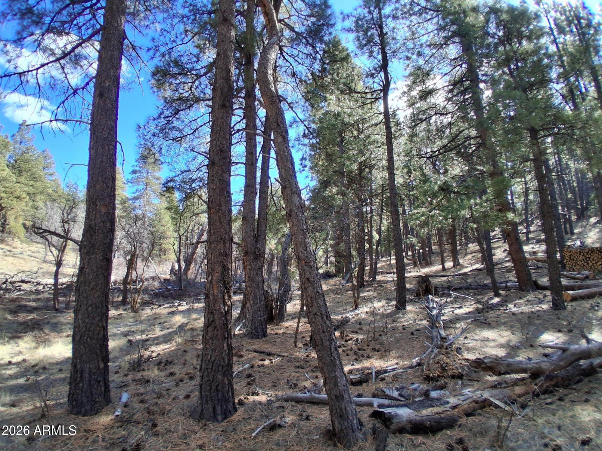 SHERWOOD FOREST PARK - Land