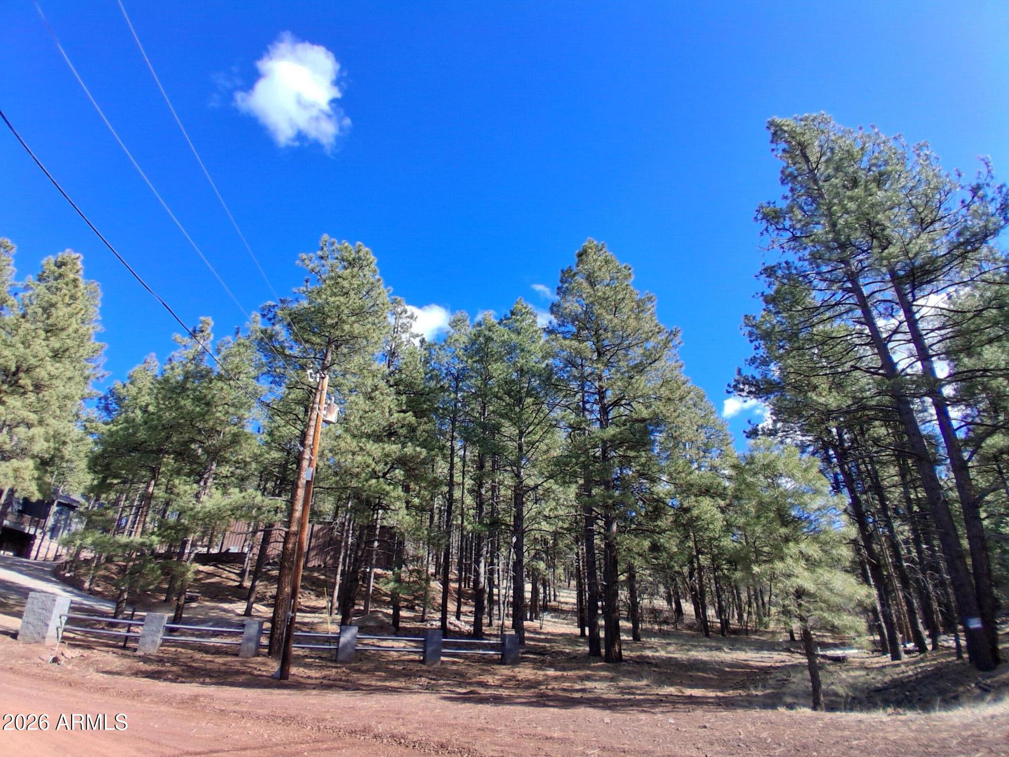 SHERWOOD FOREST PARK - Land
