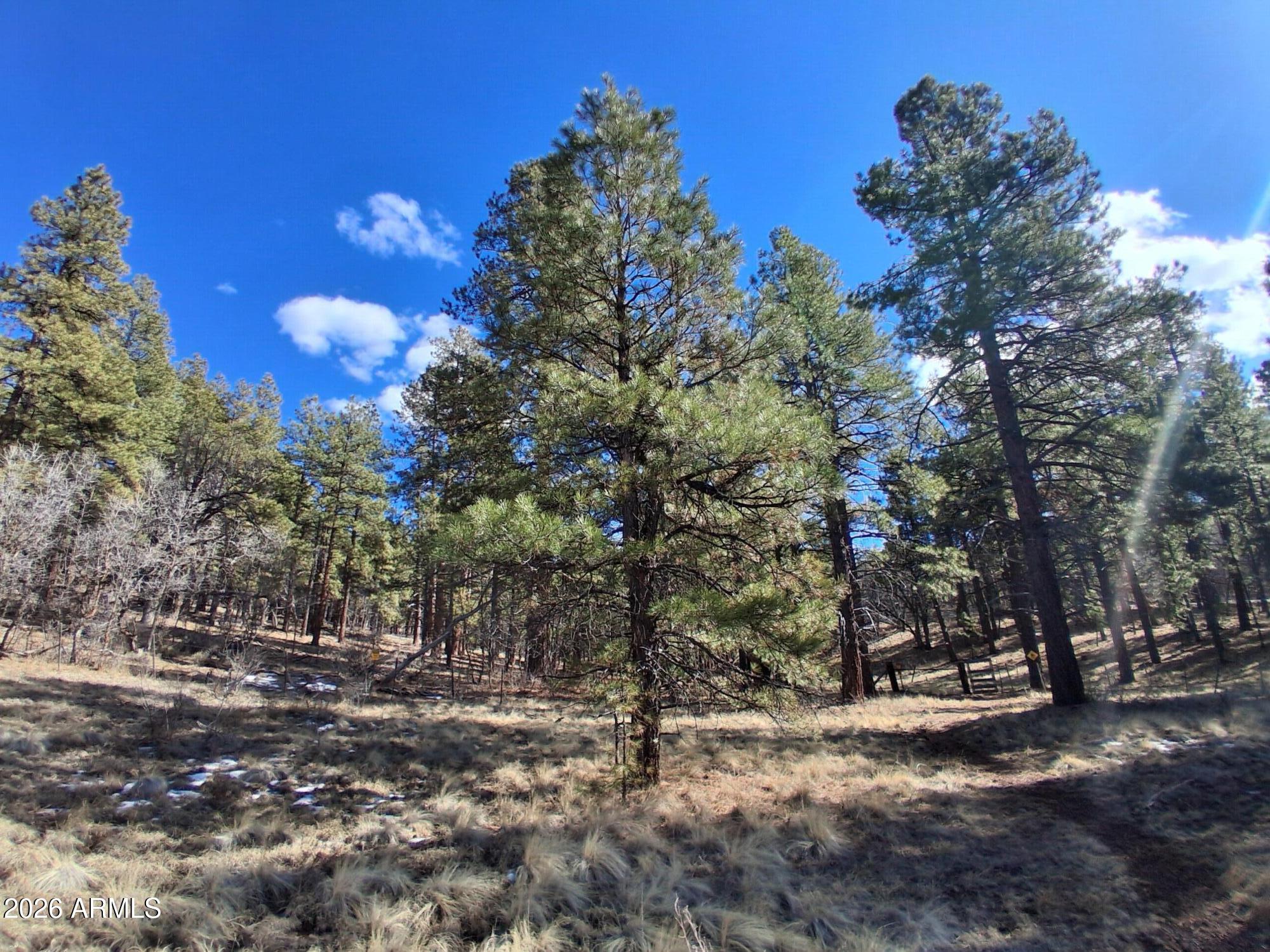 SHERWOOD FOREST PARK - Land