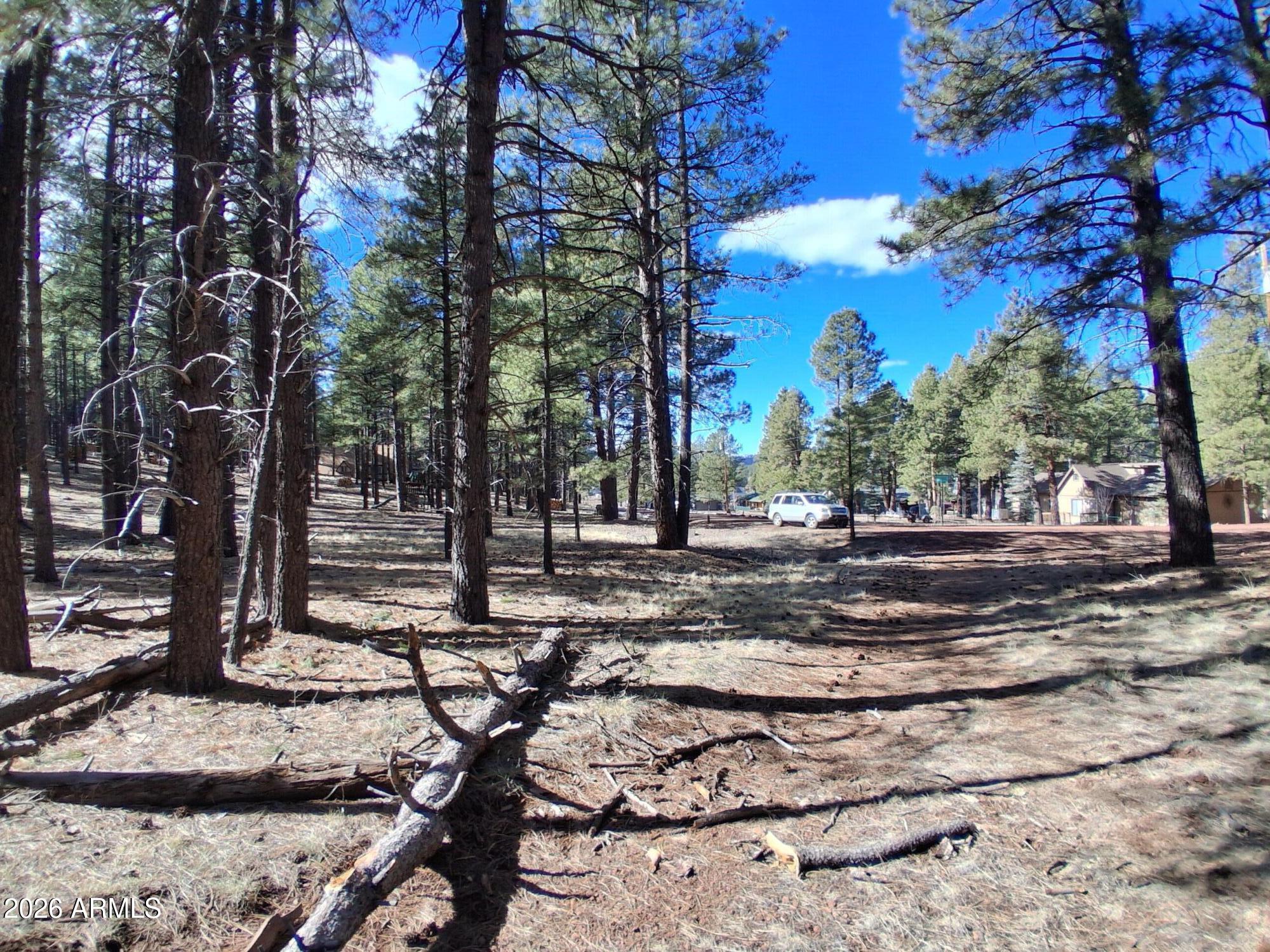 SHERWOOD FOREST PARK - Land