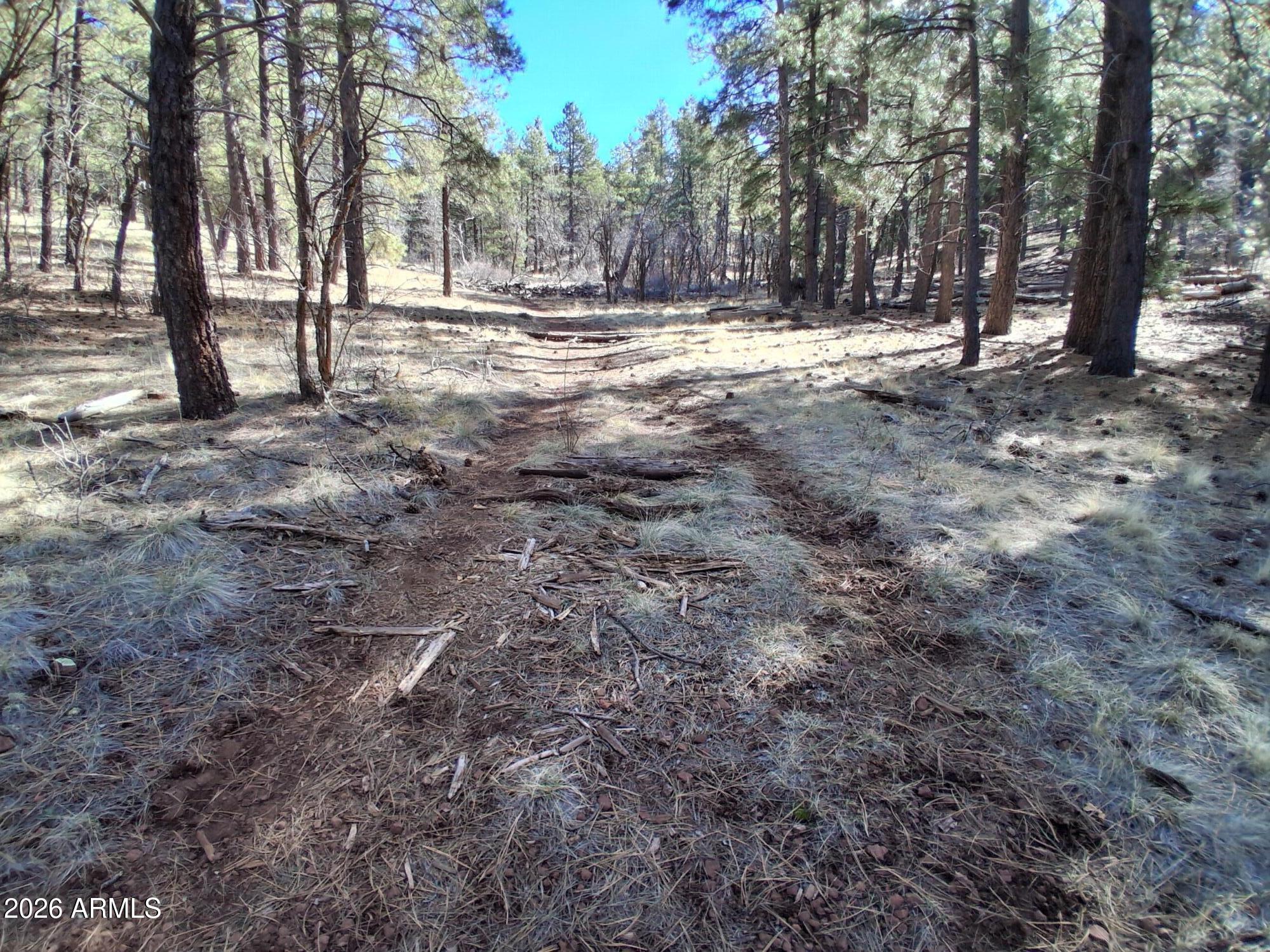 SHERWOOD FOREST PARK - Land