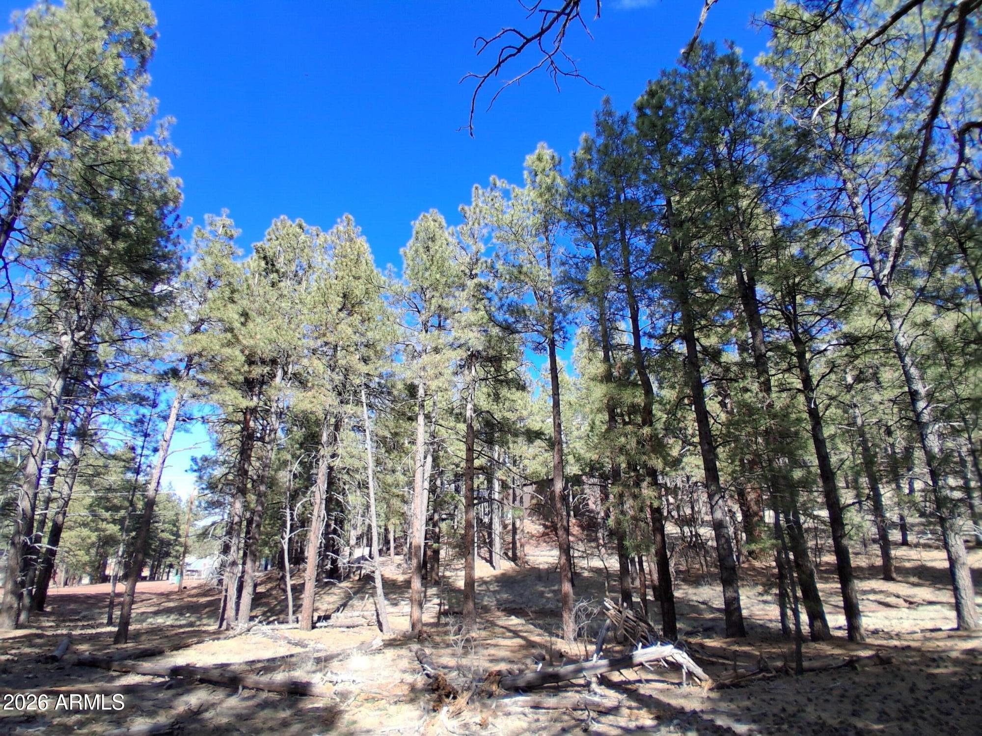 SHERWOOD FOREST PARK - Land
