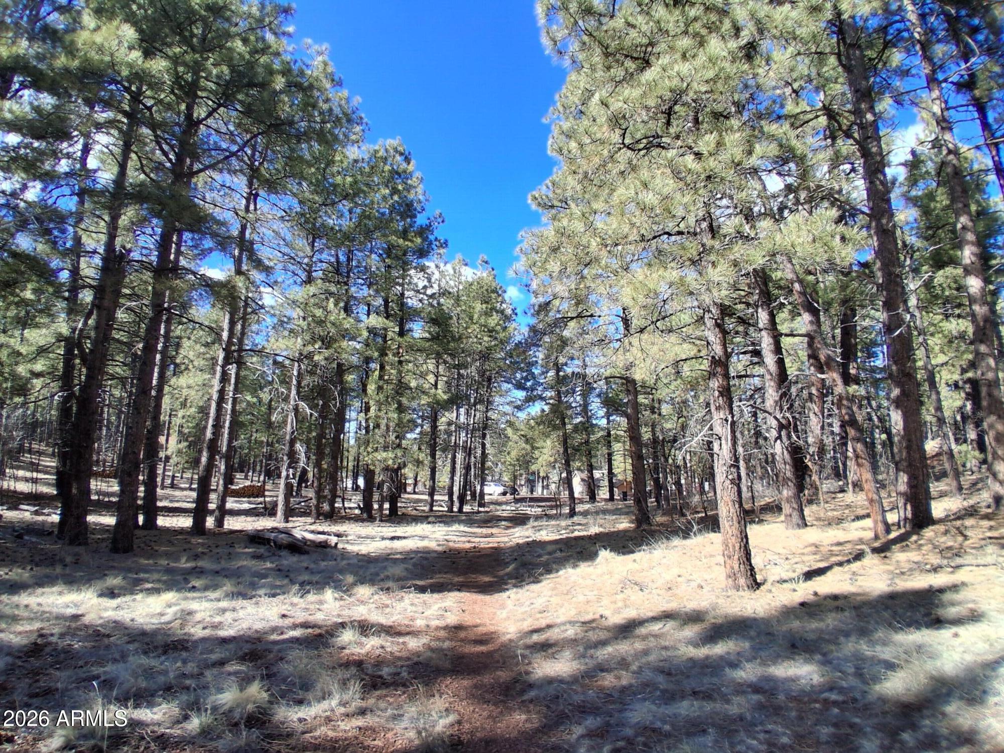 SHERWOOD FOREST PARK - Land