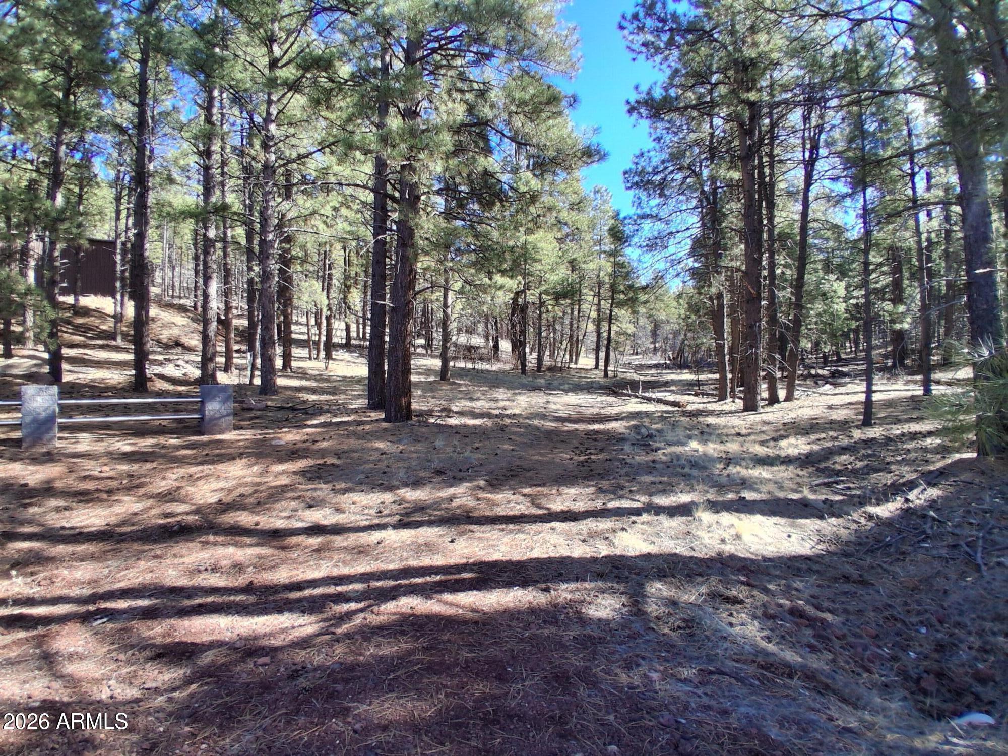 SHERWOOD FOREST PARK - Land
