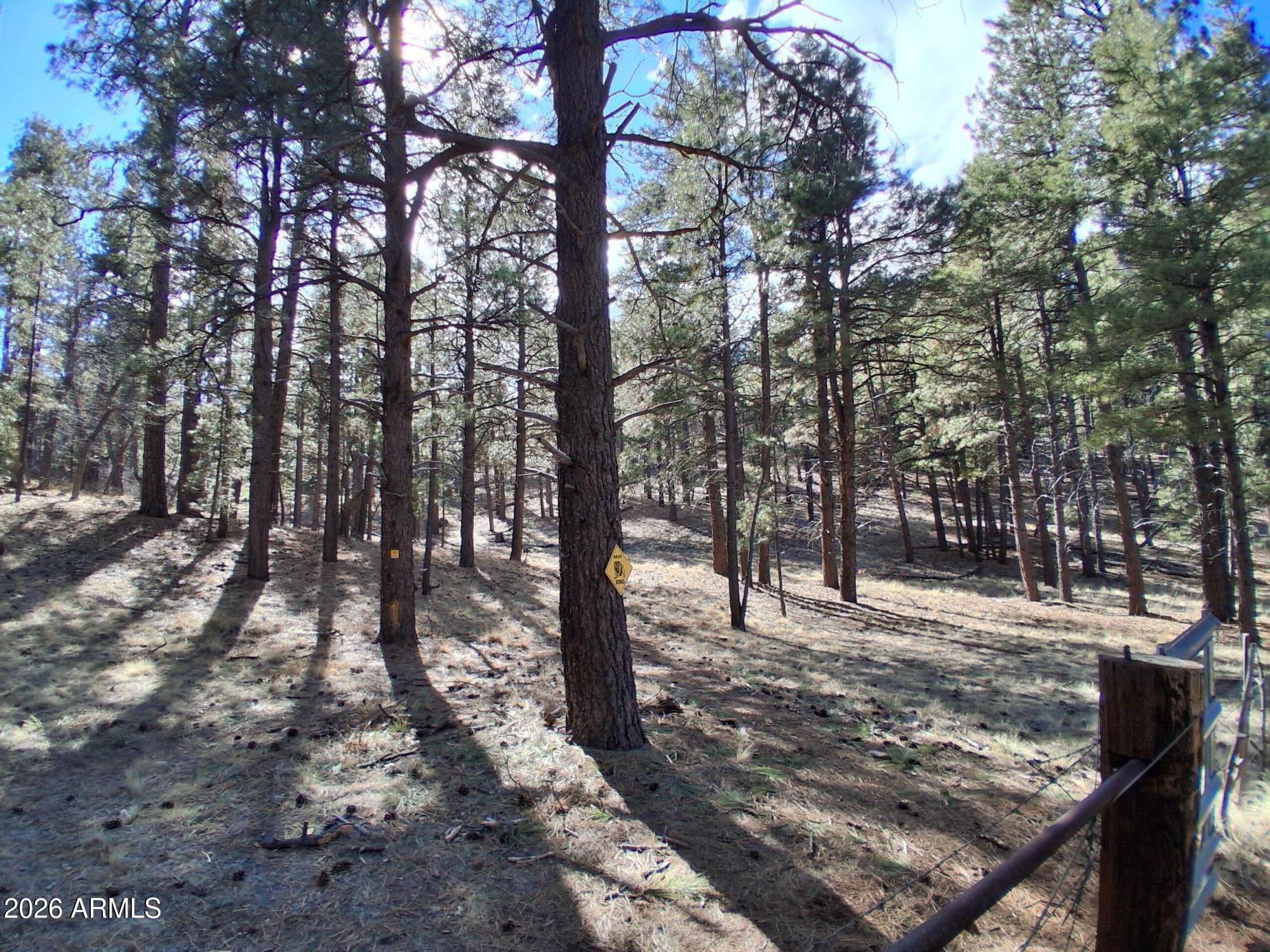 SHERWOOD FOREST PARK - Land