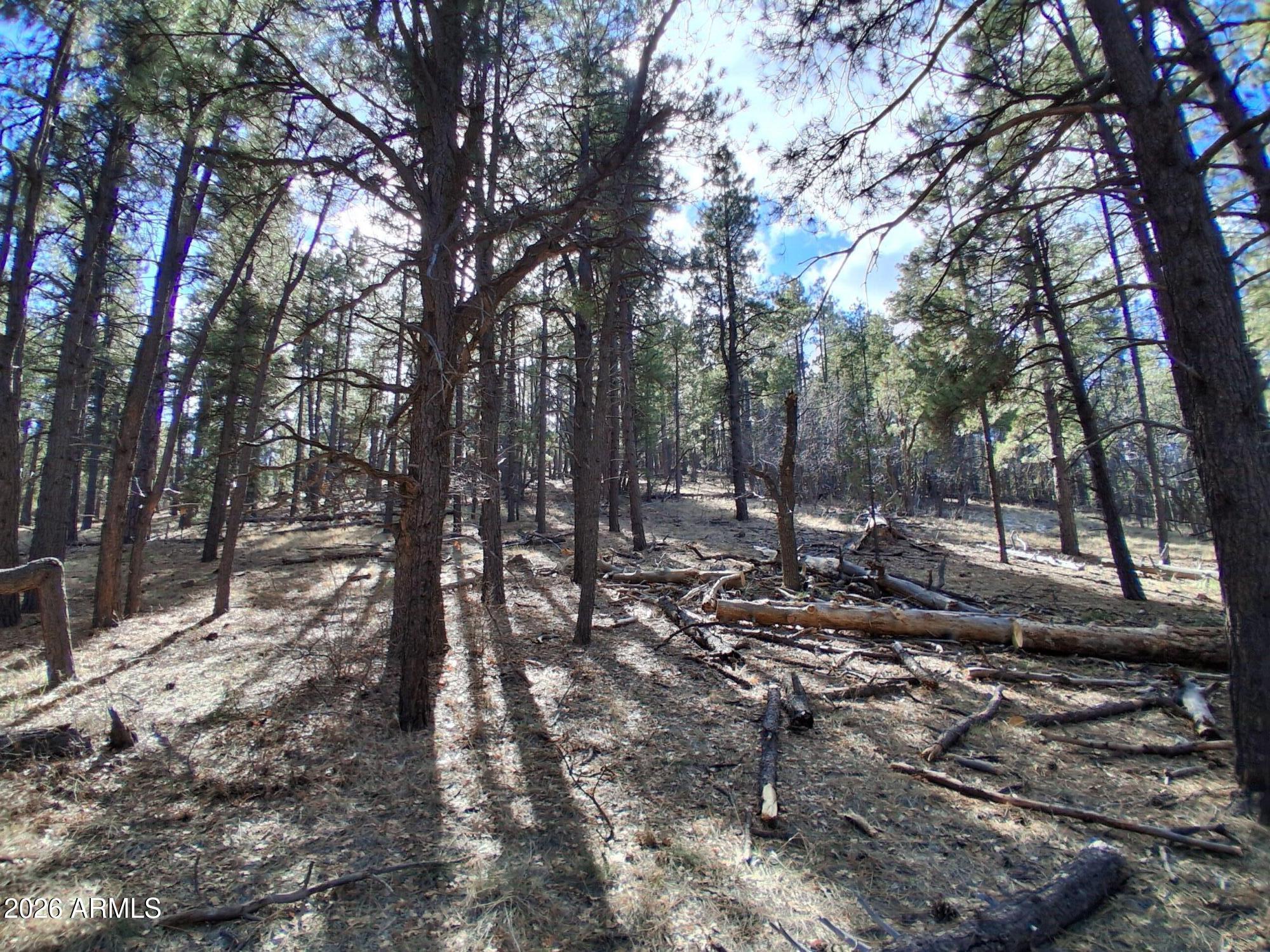SHERWOOD FOREST PARK - Land