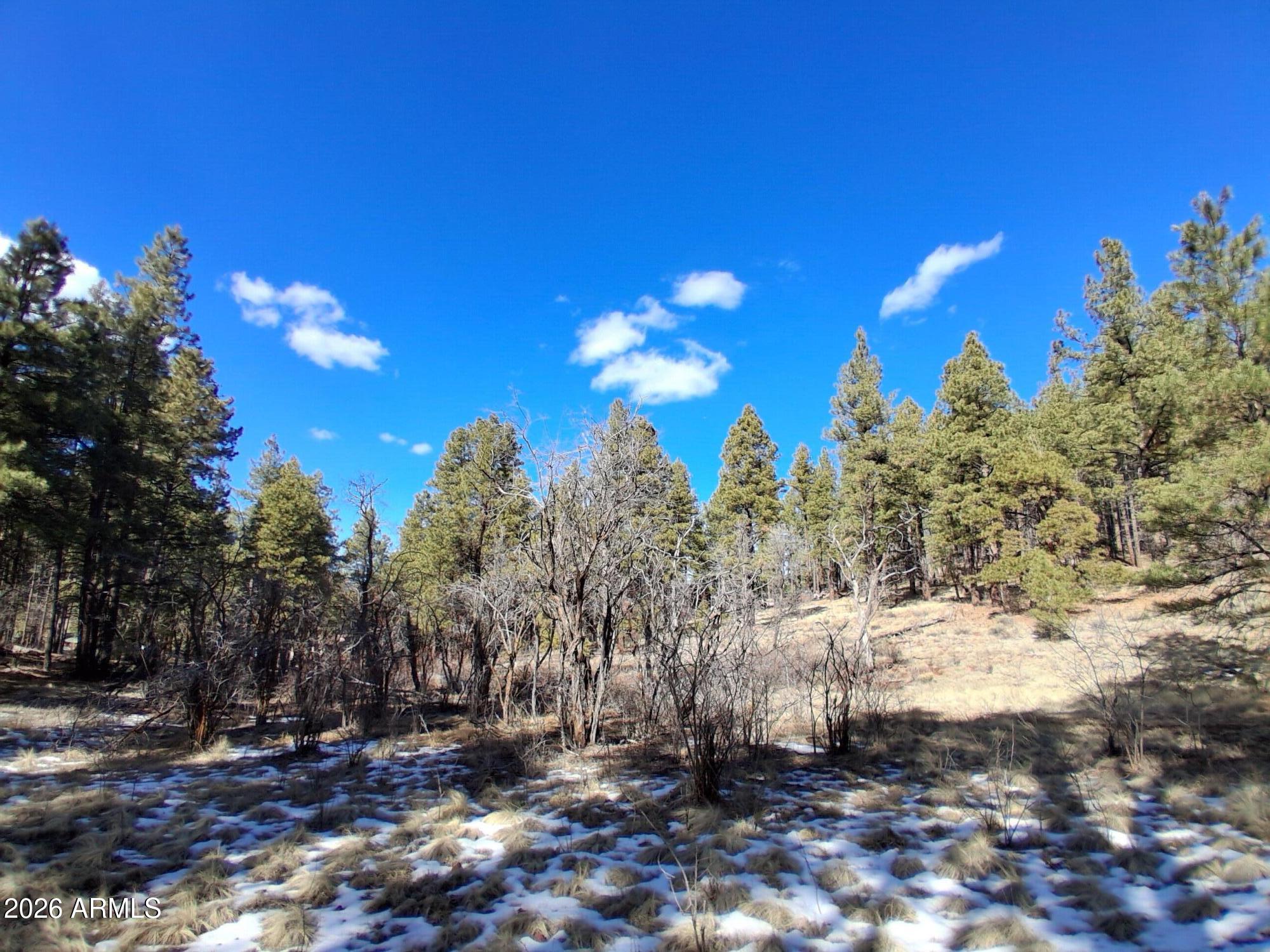 SHERWOOD FOREST PARK - Land