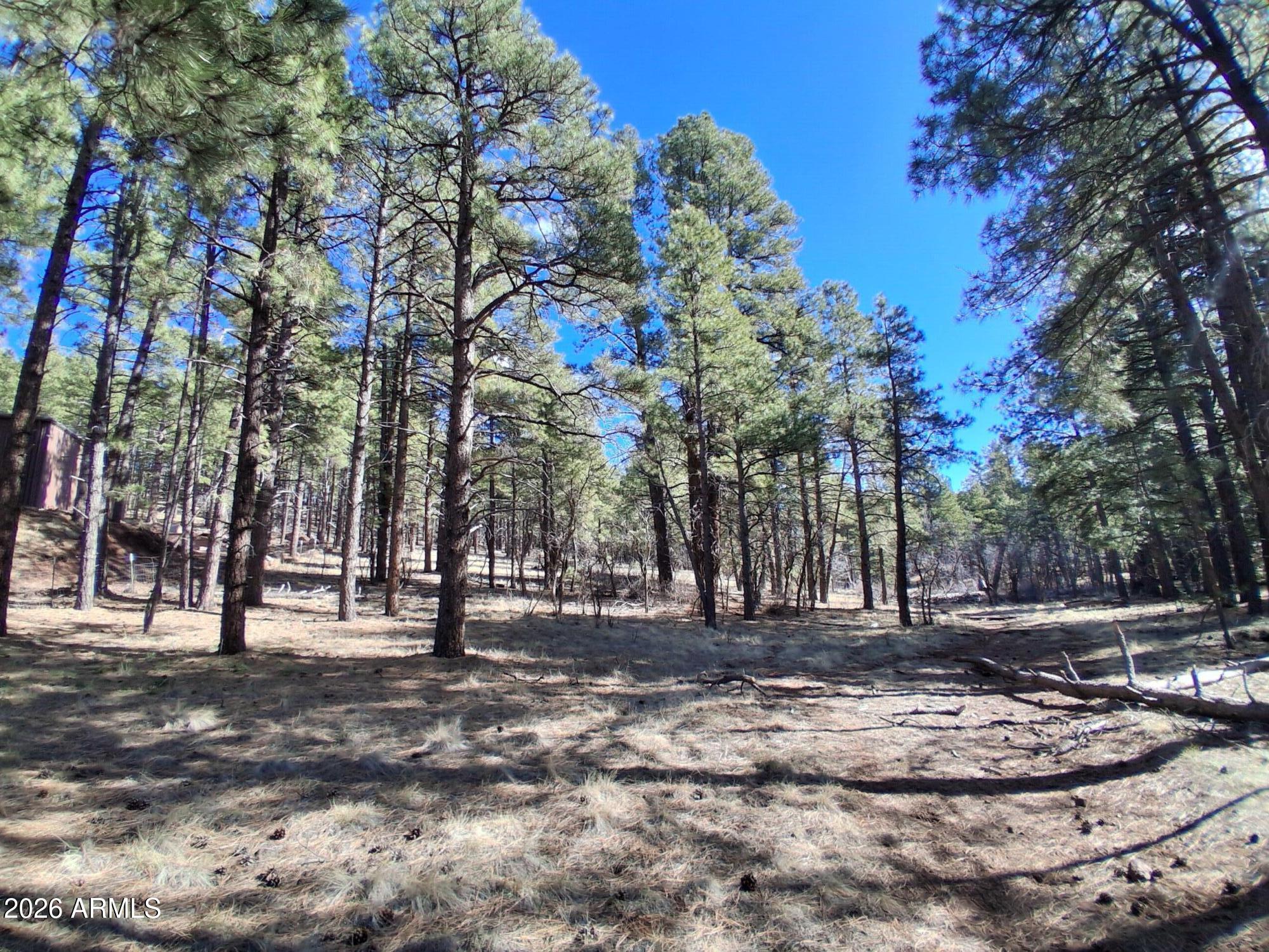 SHERWOOD FOREST PARK - Land