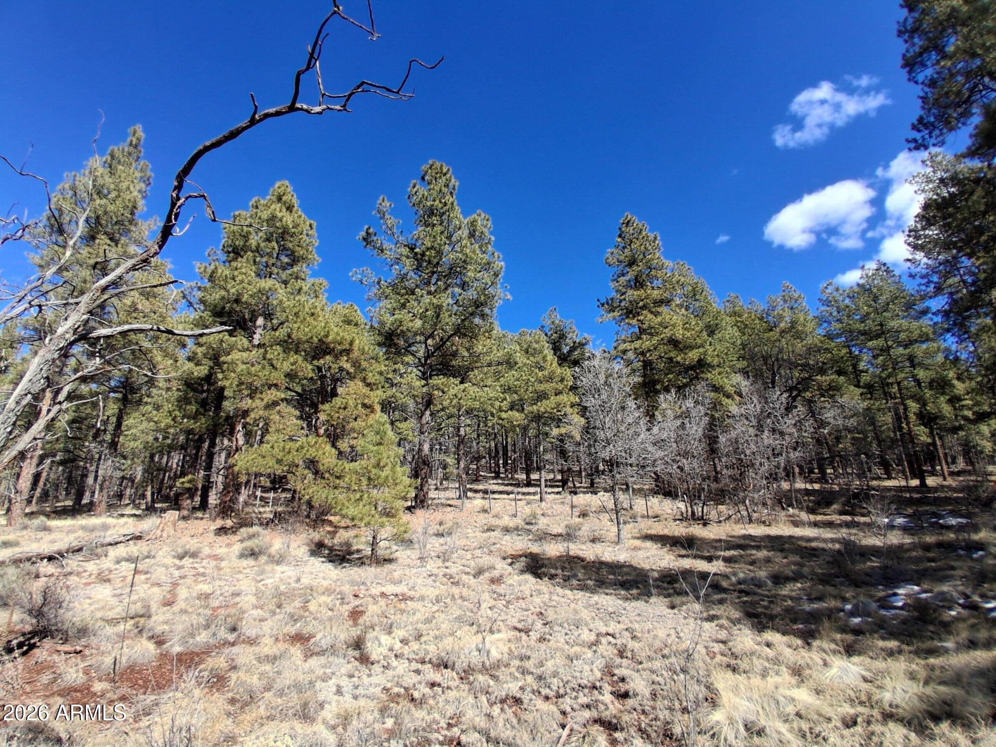 SHERWOOD FOREST PARK - Land