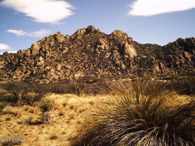 DRAGOON MOUNTAIN RANCH UNIT 1 - Residential