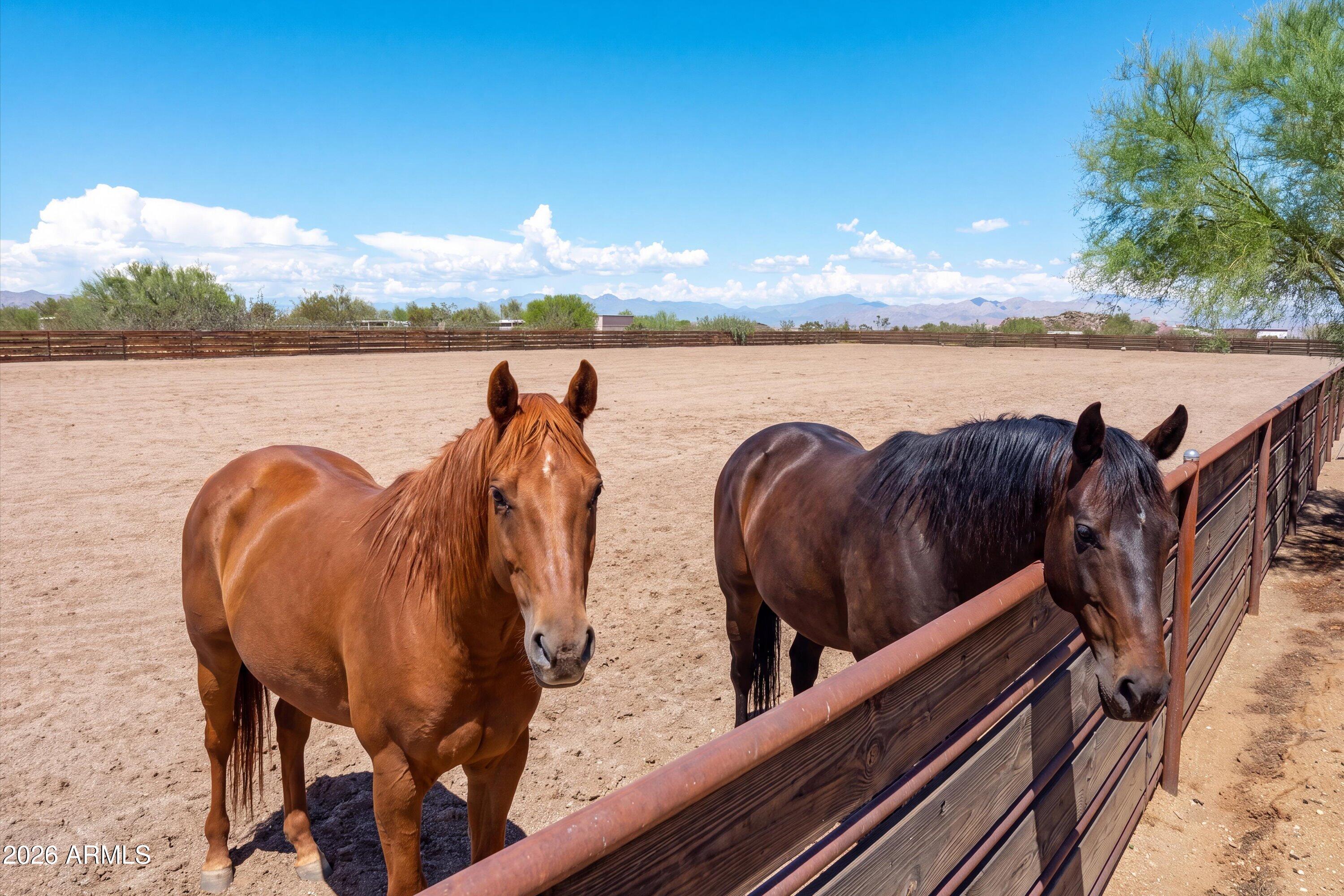 Ranch at the Preserve - Residential