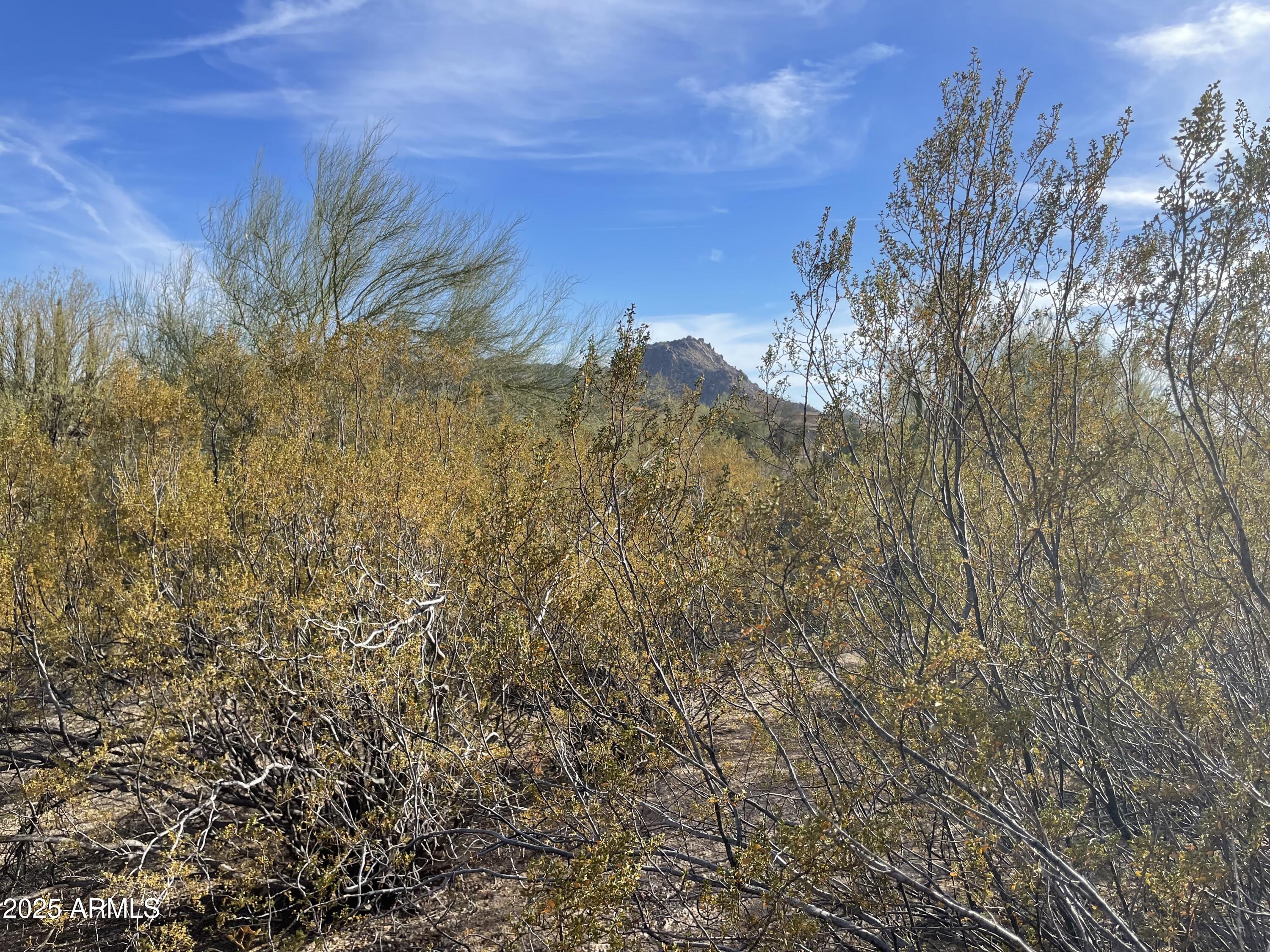 CANDLEWOOD ESTATES AT TROON NORTH UNIT 4 - Land