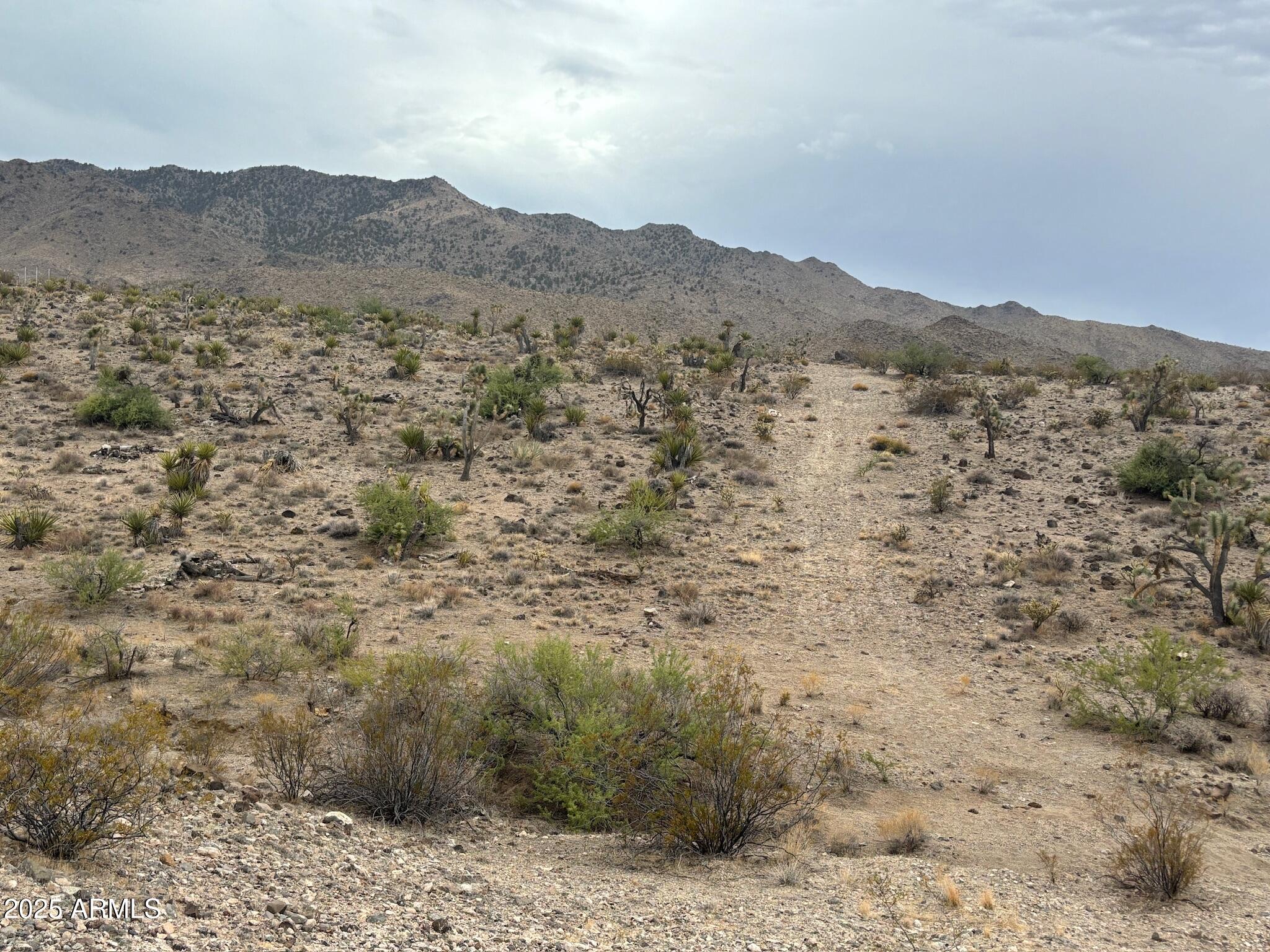 Escape to the wide-open beauty of the Arizona wilderness with this just-over-an-acre parcel, perfectly situated for those seeking space, solitude, and adventure. Zoned Agricultural/Residential, this versatile property invites endless possibilities—build a peaceful desert home, create a private camping or ATV retreat, or simply enjoy it as a recreational escape. With level terrain, dirt road access, and an off-the-grid location, it's the ideal spot for those craving freedom and connection with nature. You'll be surrounded by mature desert vegetation, sweeping views, and a stunning variety of wildlife including mule deer, antelope, quail, dove, and even the occasional elk or mountain lion.