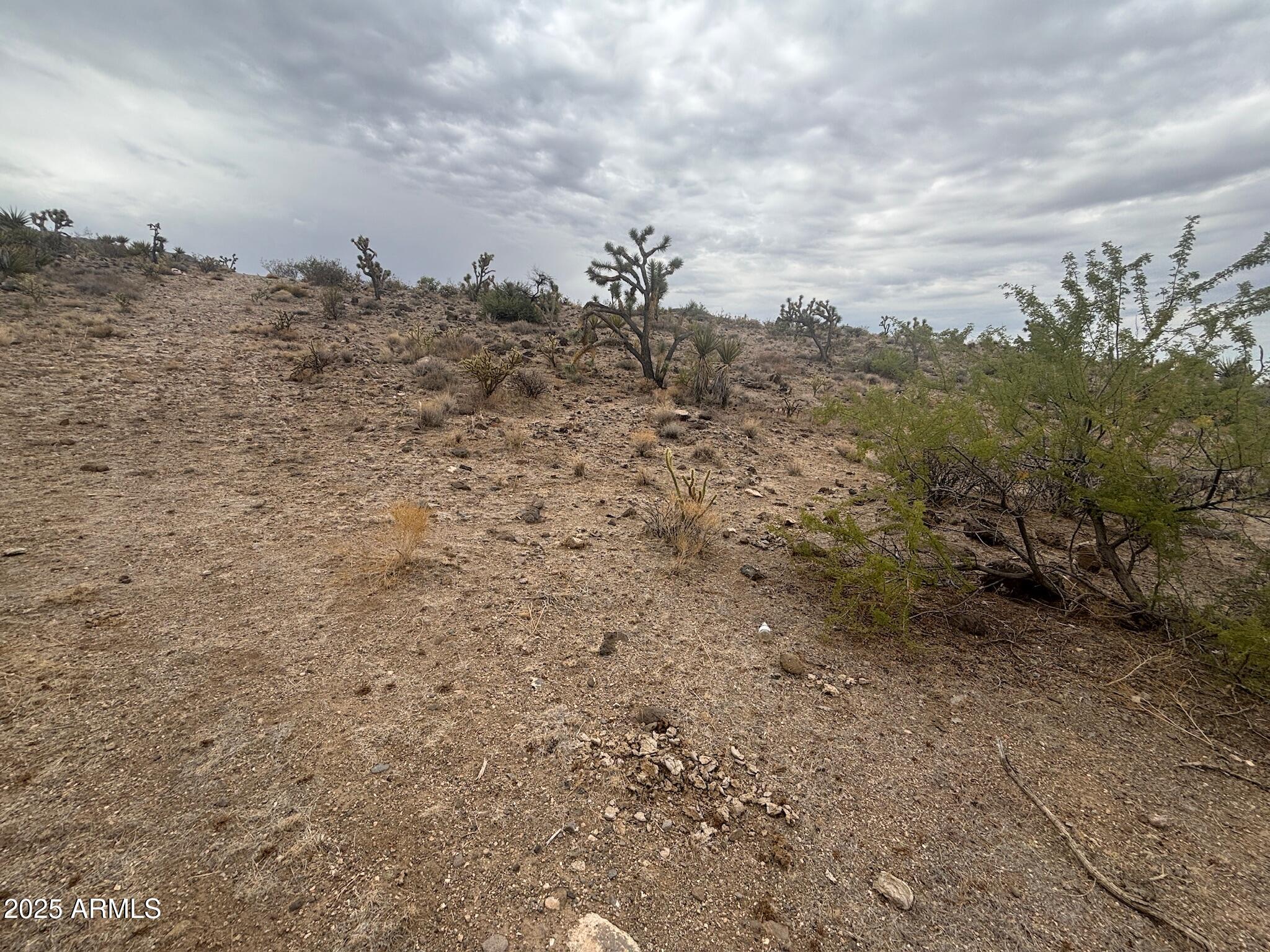 Lake Mohave Ranchos, Unit 7 - Land