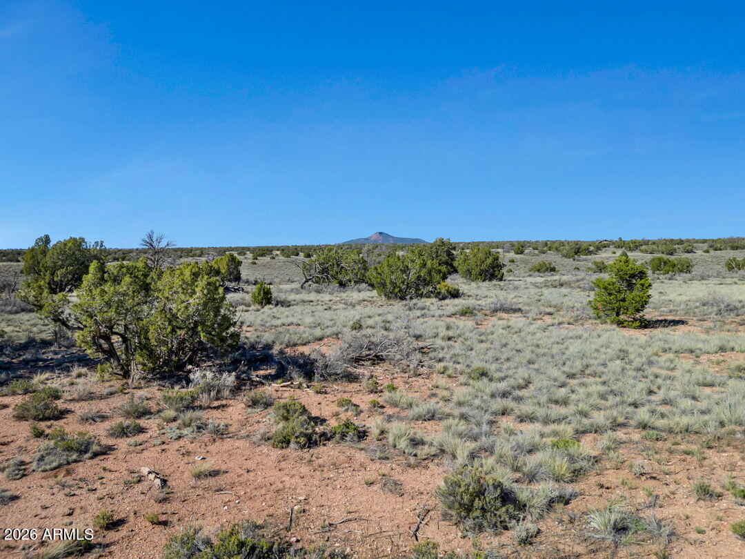WOODLAND RANCH - Land