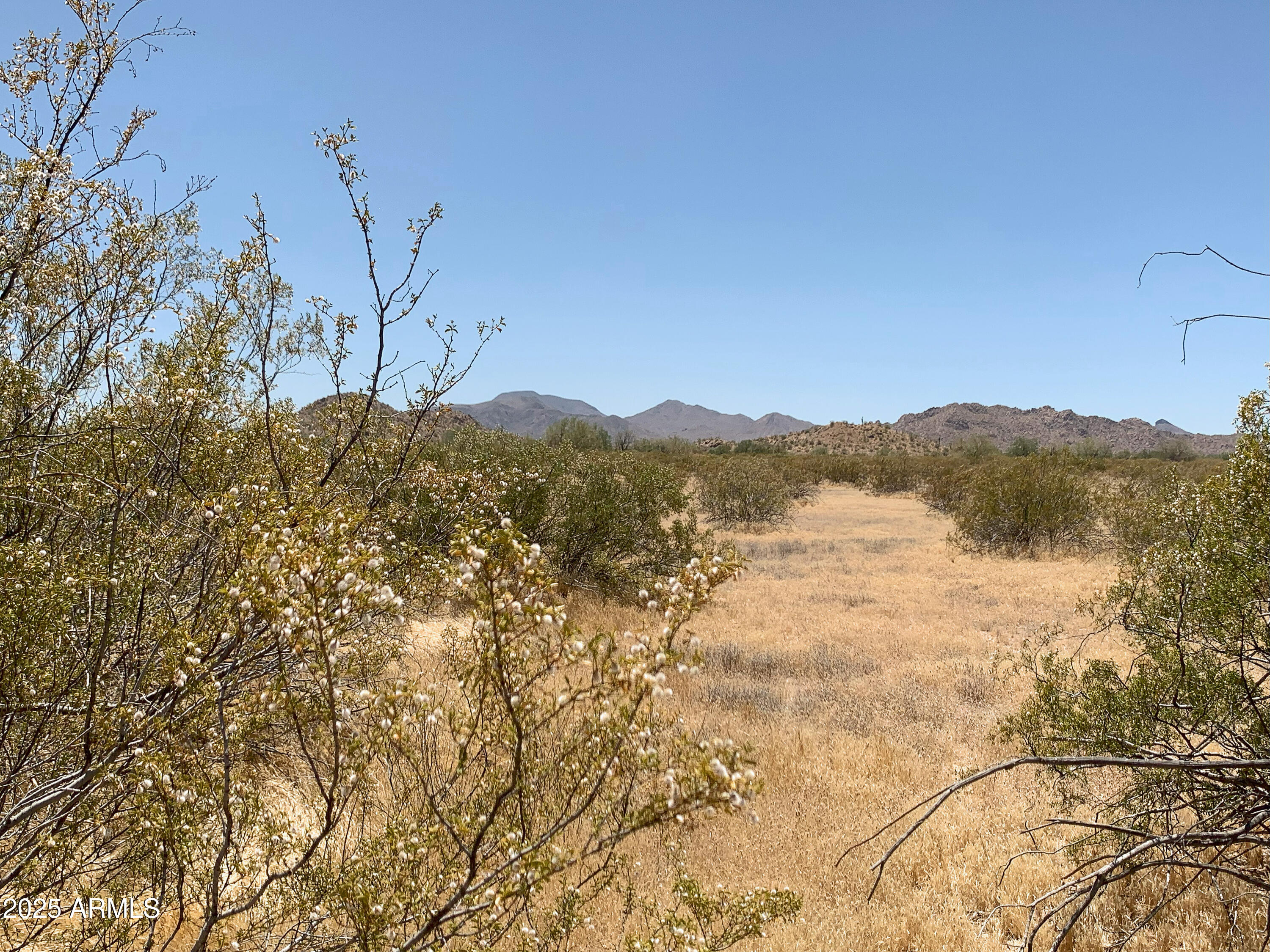 Welcome Home to Beautiful Hidden Valley Estates in Maricopa Arizona! This is Lot 4 of FIVE Available Parcels on paved Whirly Bird Road! A 1.26 acre Equestrian Parcel with Gorgeous Mountain Views & SELLER MAY CARRY! Water is available for hauling with membership to Maricopa Mountain Water Co - ask your agent for details! Come Home to the Wide Open Spaces on this Equestrian Parcel! GR, General Rural, zoning with a 1.25 acre minimum so parcel cannot be split! Fresh Air, Mountain Views, Gorgeous Desert Vegetation, Paved Roads, No City Noise Or Traffic while Close to All Amenities - Pure Bliss! Come Home to Maricopa Today - Come Home to the Country, You'll Fall In Love, Too! *Note: taxes prorated based on original parcel amount for 2024 & MLD may be found in documents & photos tab.