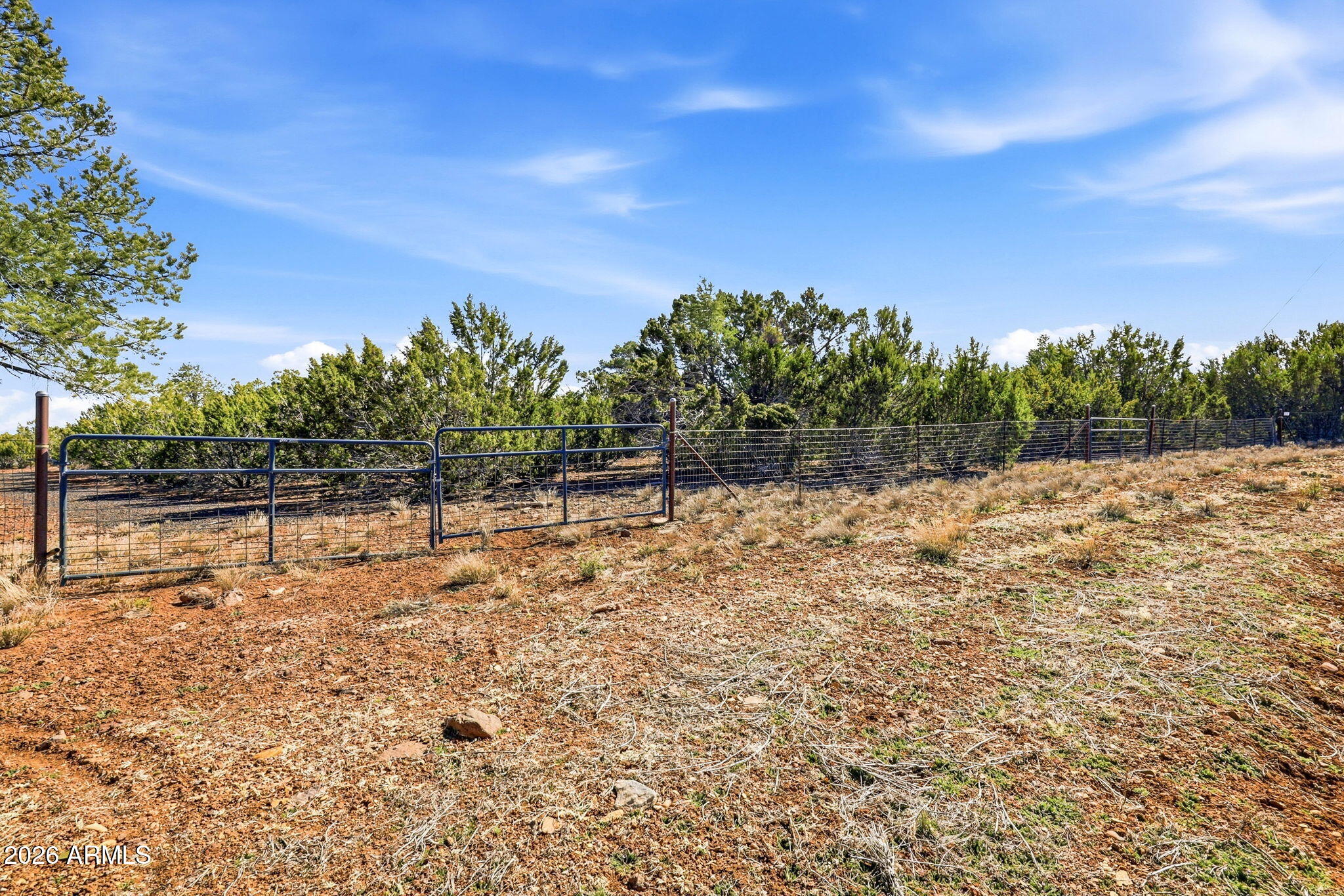 Winchester Trails Ranches - Land