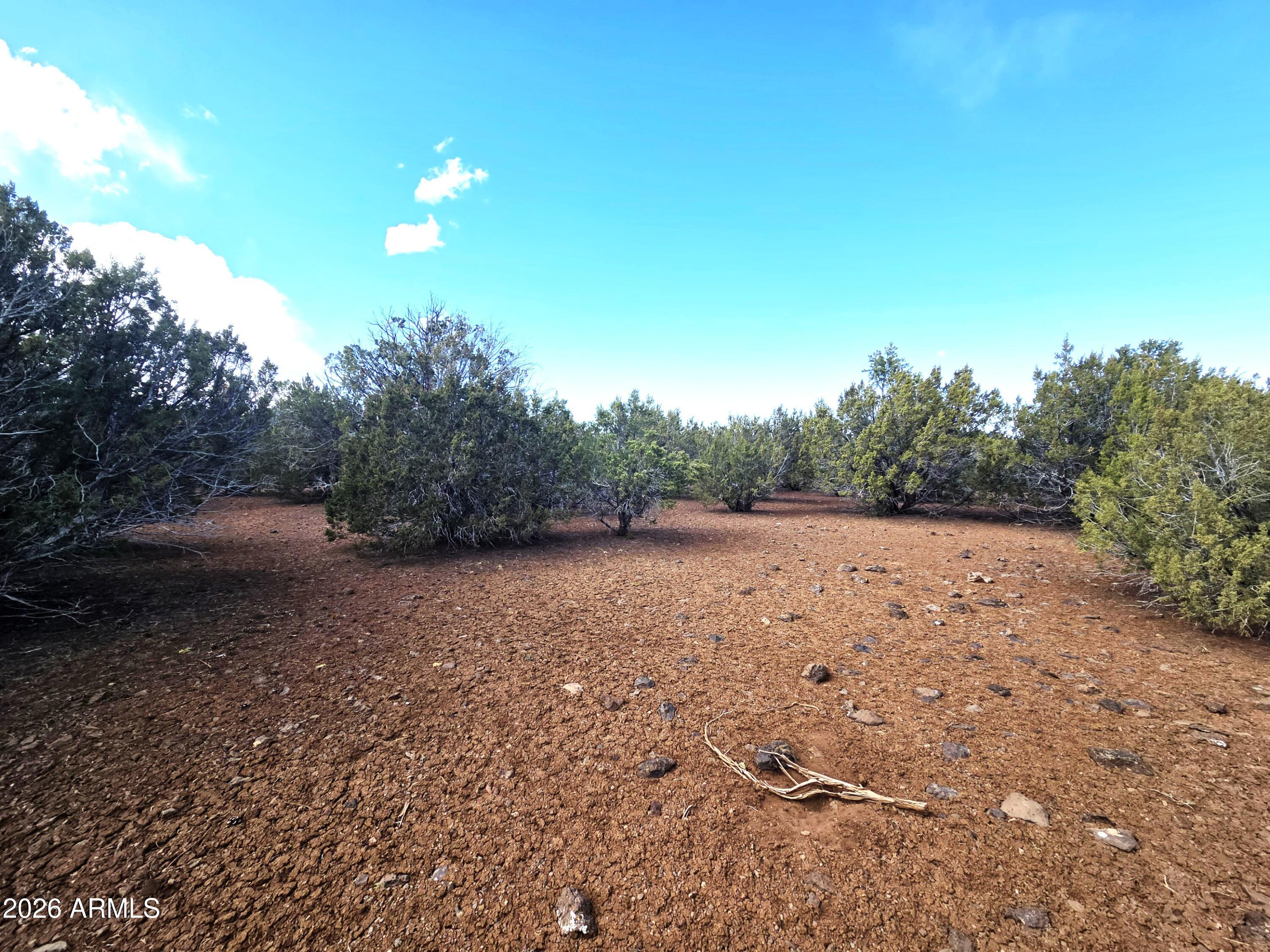 Winchester Trails Ranches - Land