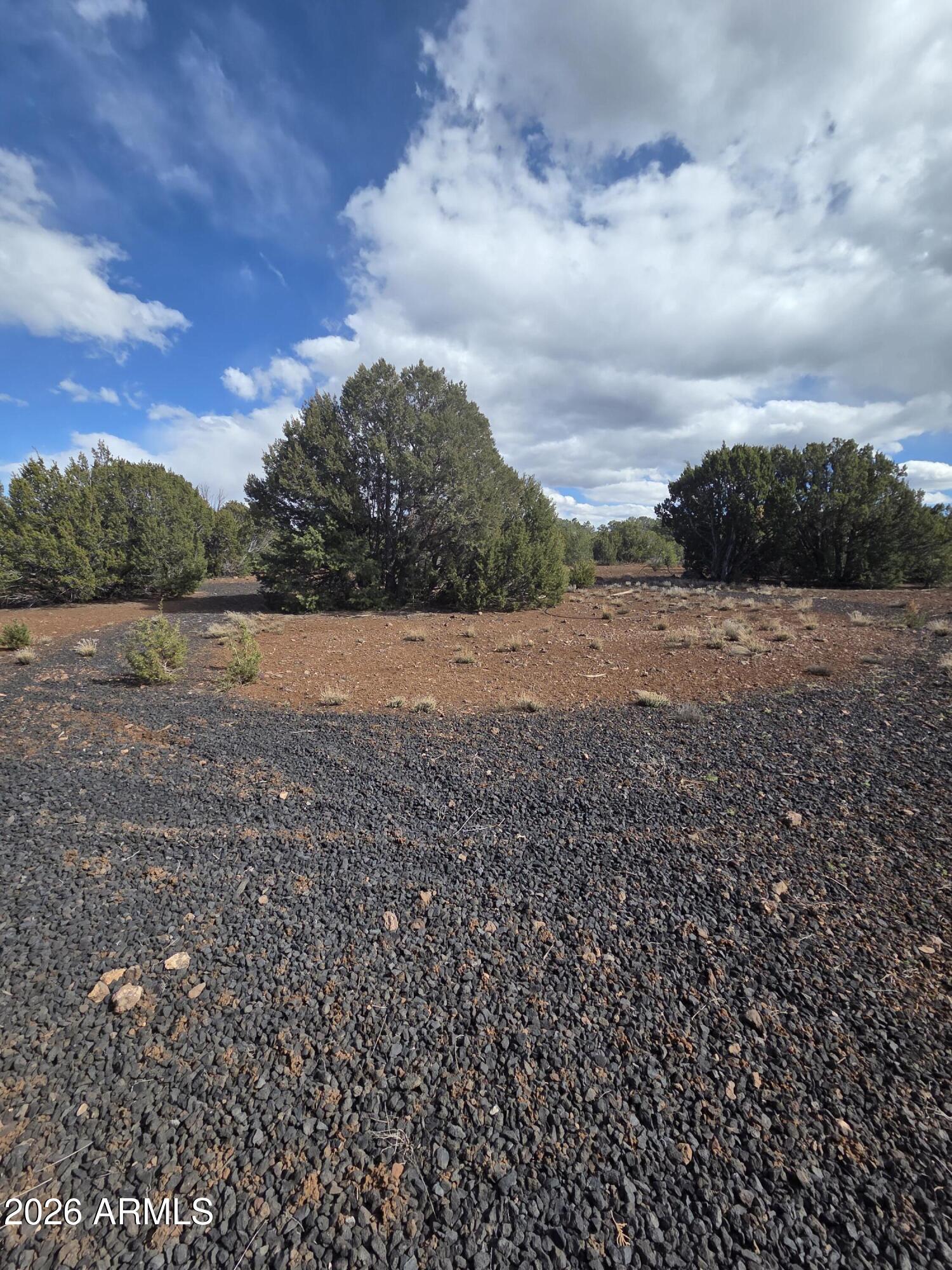 Winchester Trails Ranches - Land