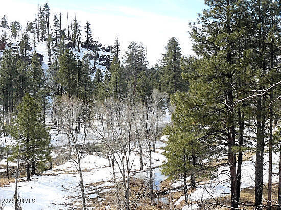 Beautiful treed lot in gated Summer Place North, the highest elevation in Heber.  Slightly under 1 acre, paved roads, located in a community of gorgeous cabins/homes.  Only 55 miles from Payson to enjoy cooler summers and fresh clean mountain air.  Seller has other lots for sale in Summer Place North Unit 3A.