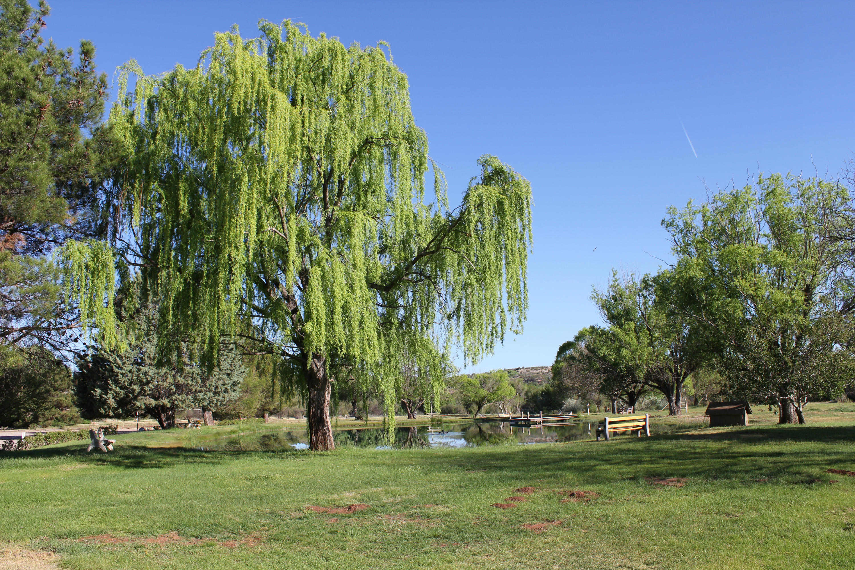 5 Acres or More - Commercial Sale