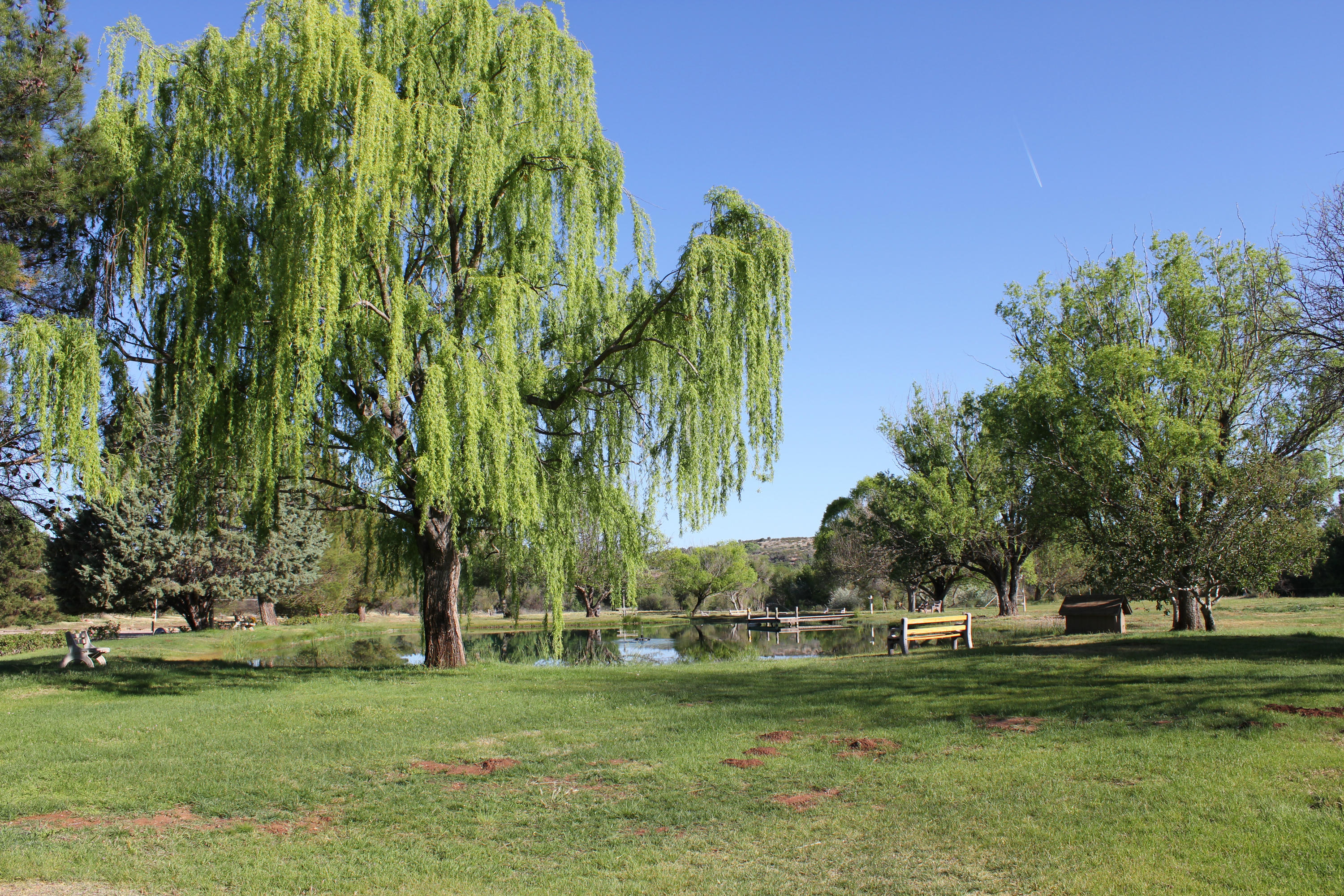 5 Acres or More - Commercial Sale