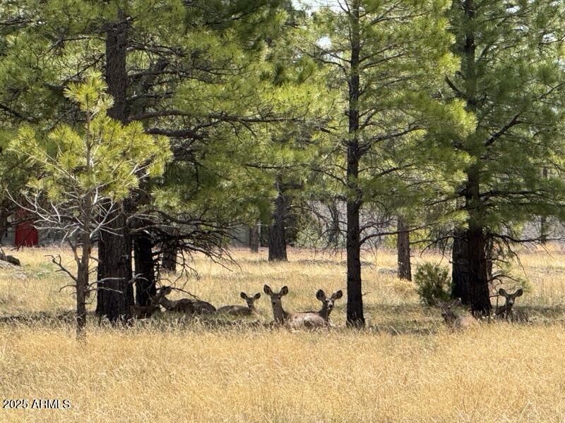 Lockett Ranches - Land