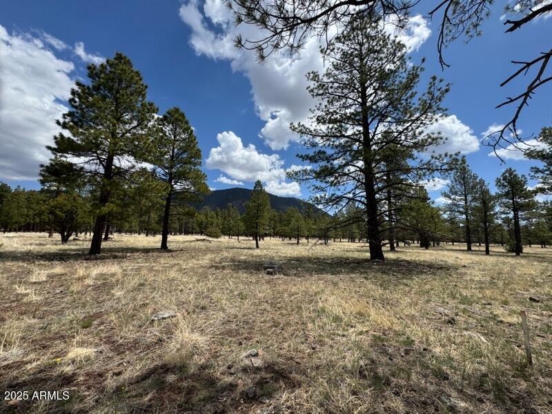 Lockett Ranches - Land