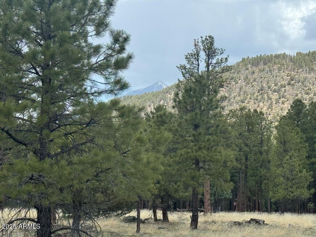 Lockett Ranches - Land