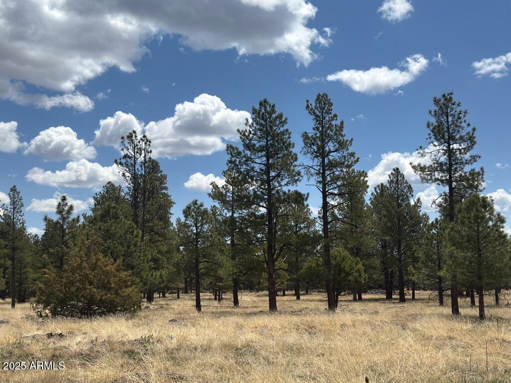 Lockett Ranches - Land