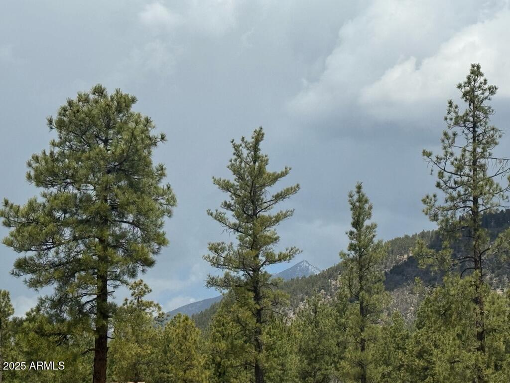 Lockett Ranches - Land