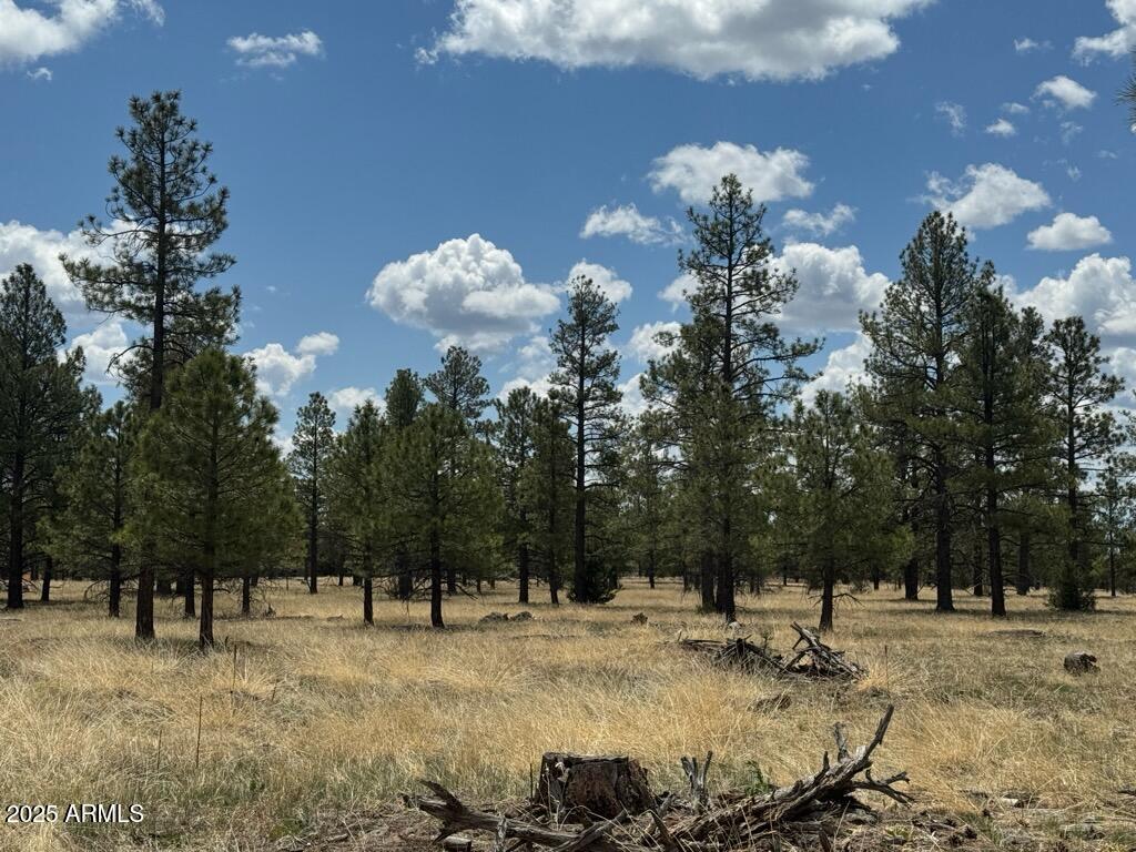 Lockett Ranches - Land
