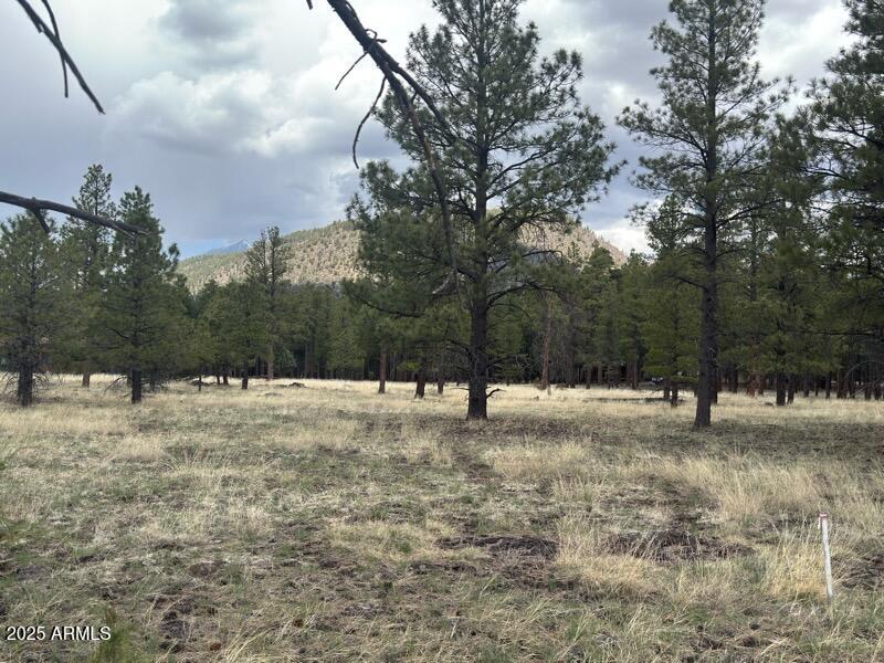 Lockett Ranches - Land