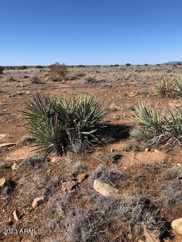 Chevelon Canyon Ranch - Land
