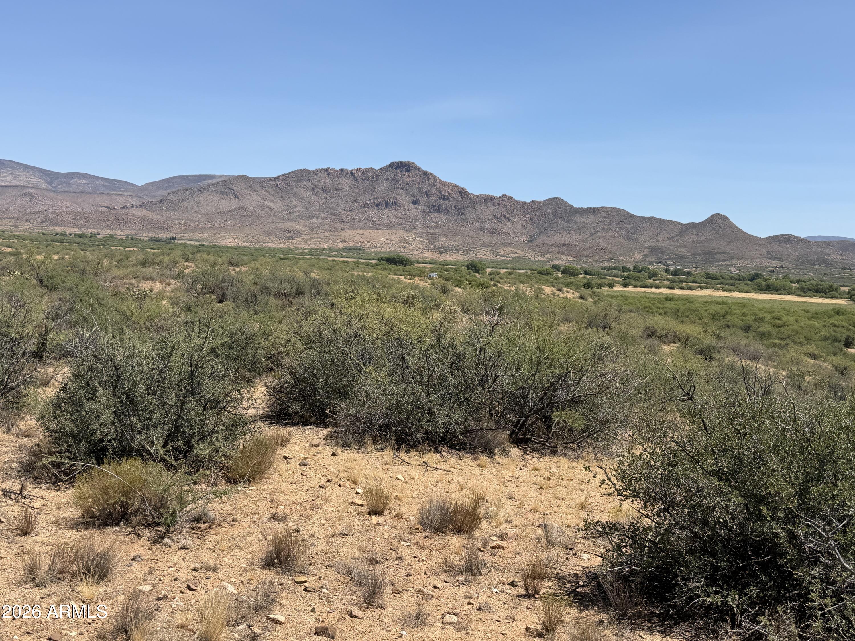 Ruger Ridge - Land
