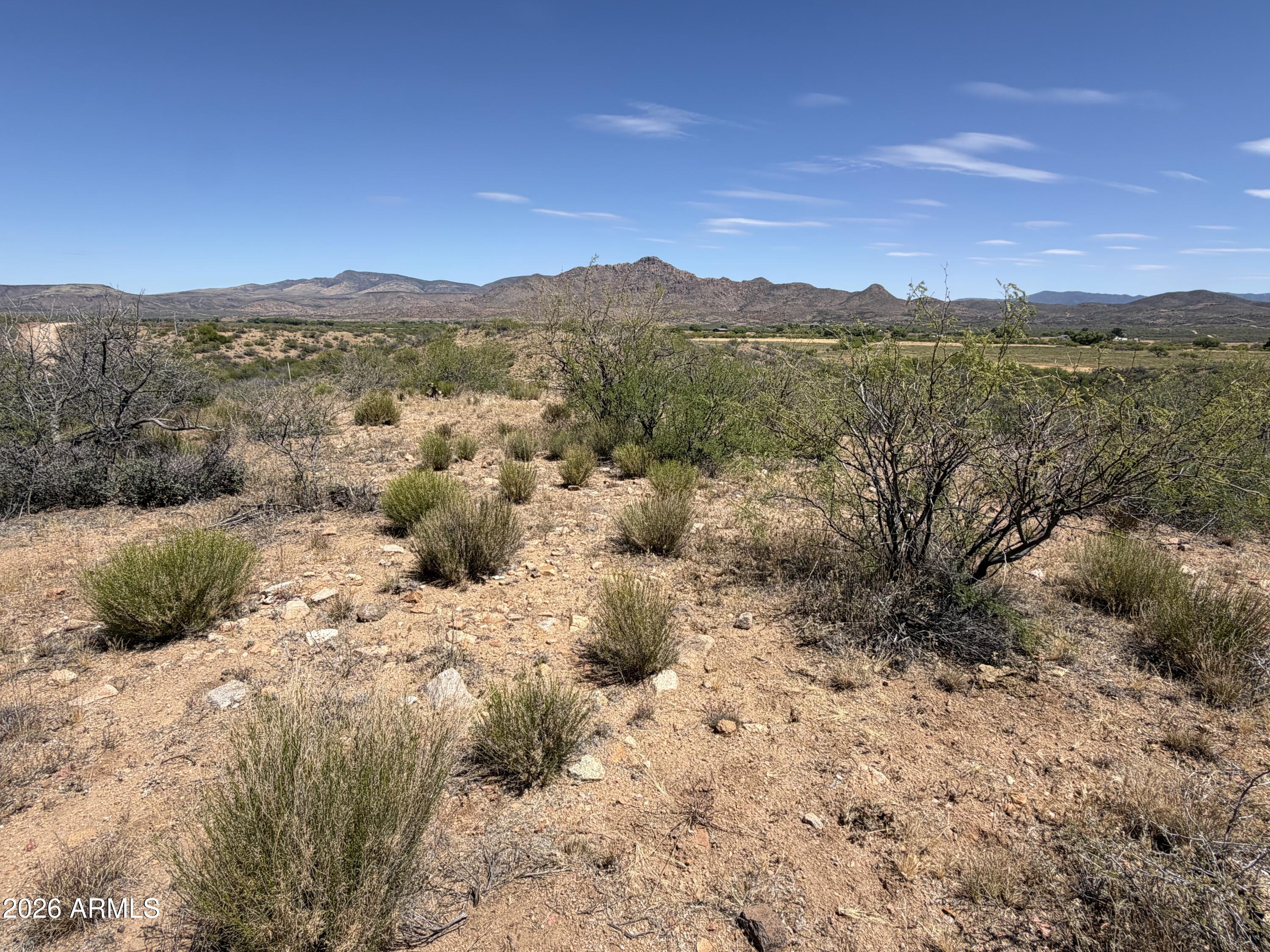 Ruger Ridge - Land