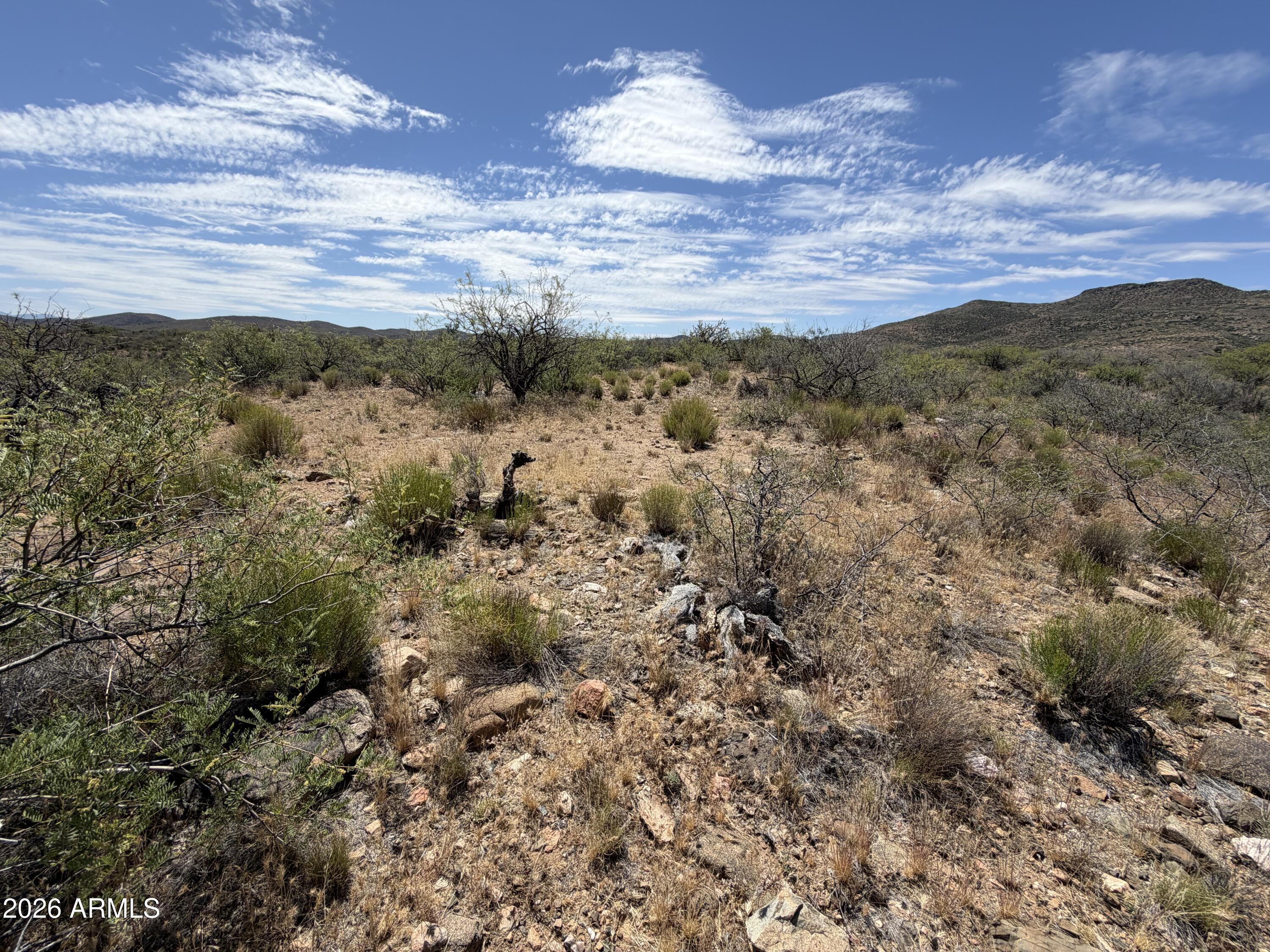 Ruger Ridge - Land