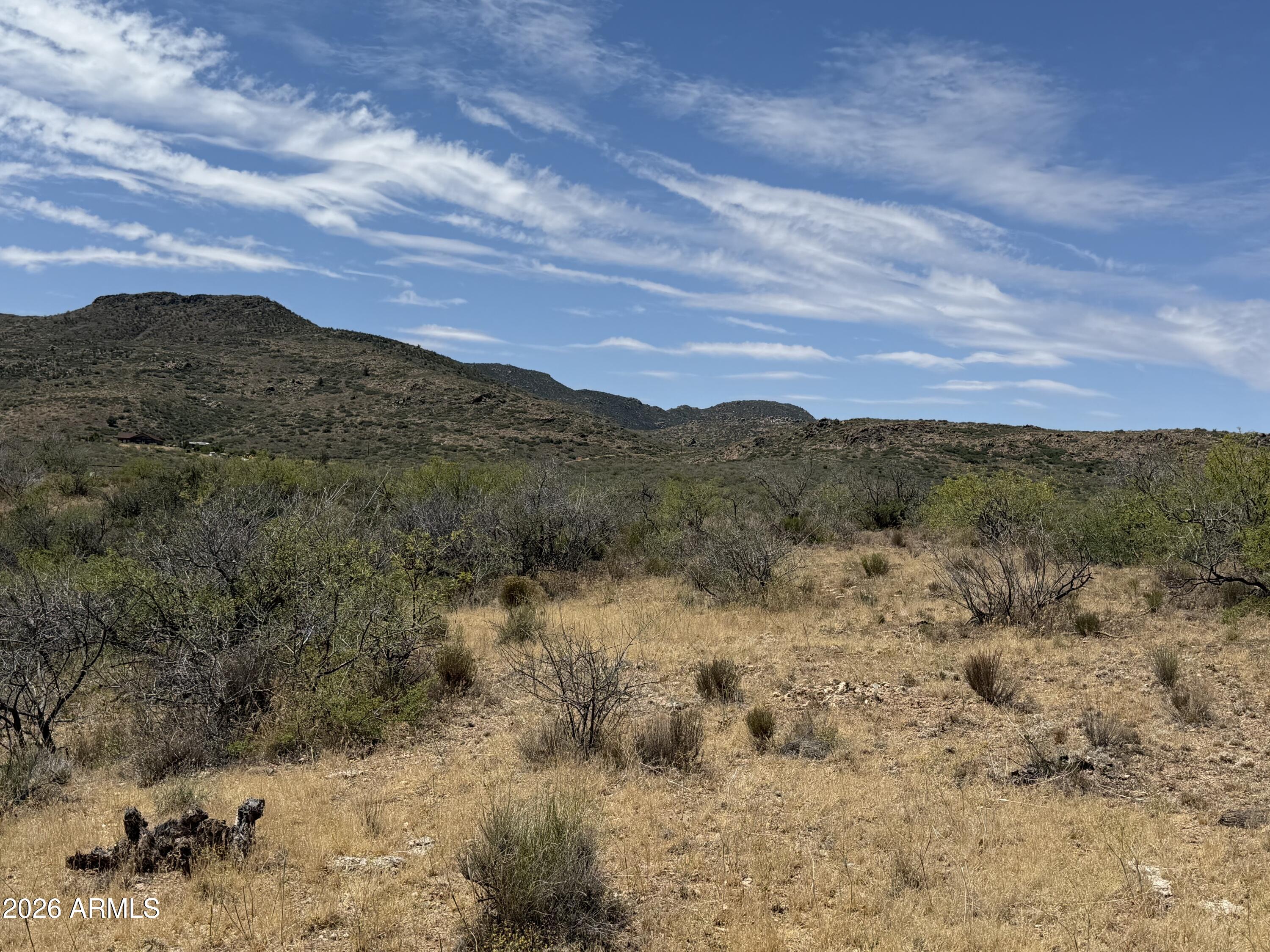 Ruger Ridge - Land