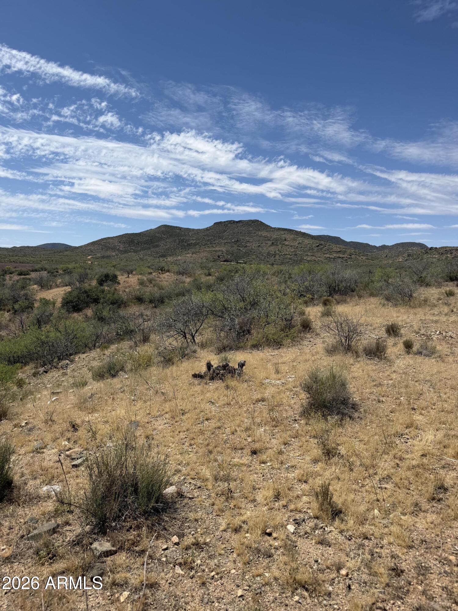 Ruger Ridge - Land