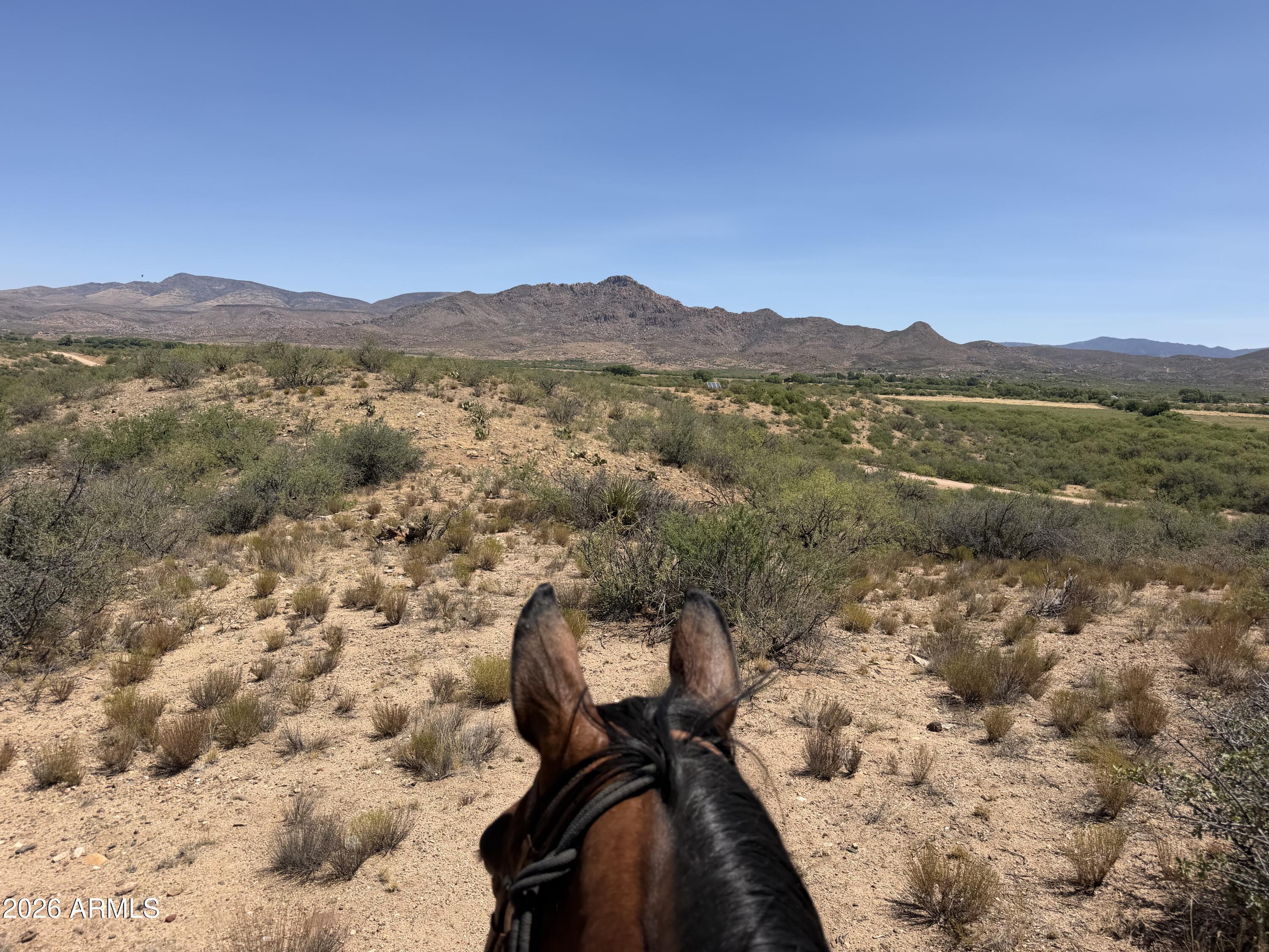 Ruger Ridge - Land