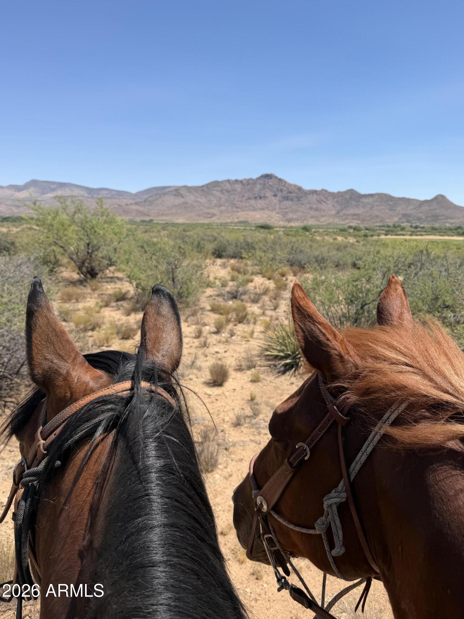 Ruger Ridge - Land