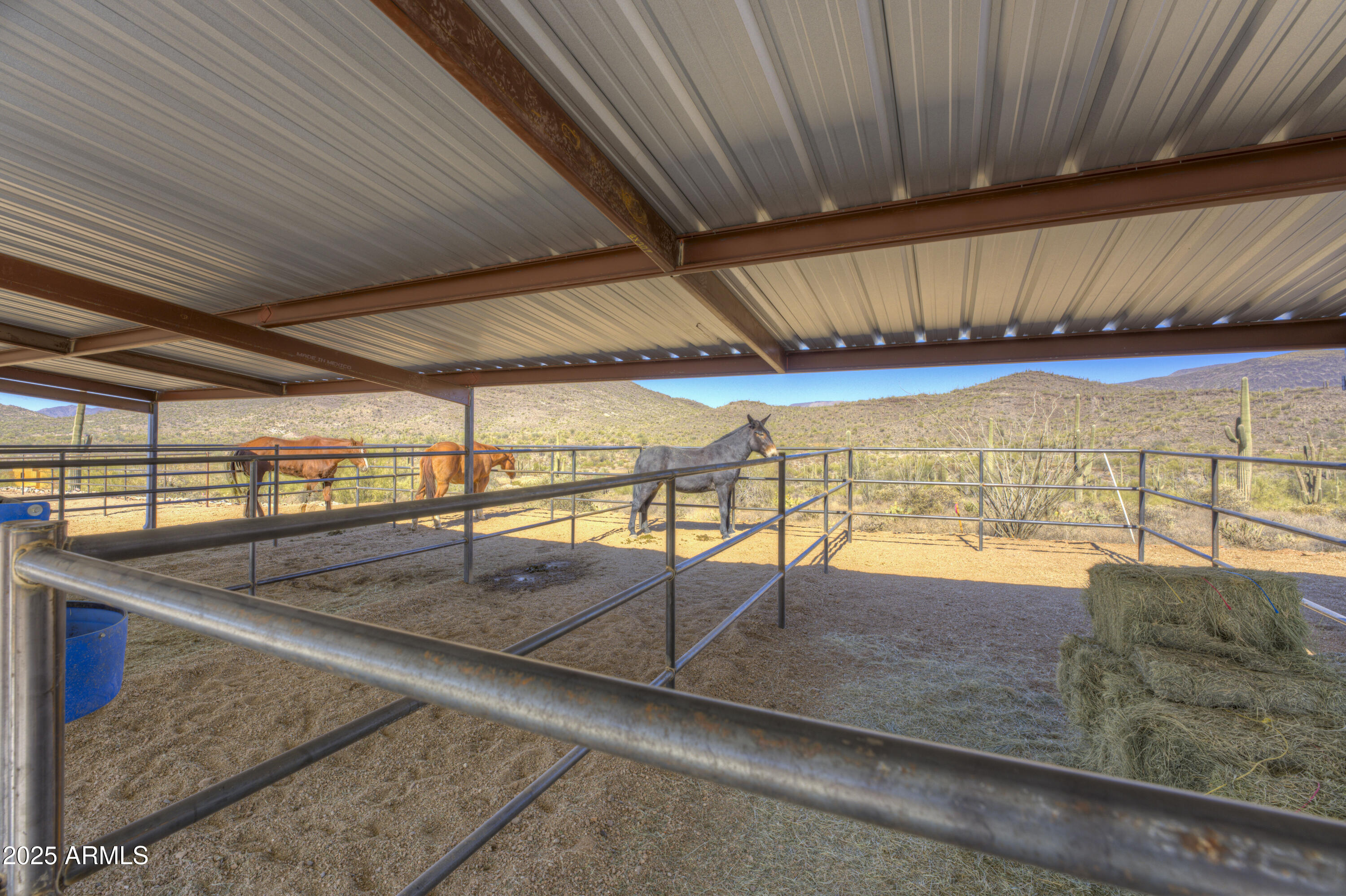 Cave Creek horse property - Residential