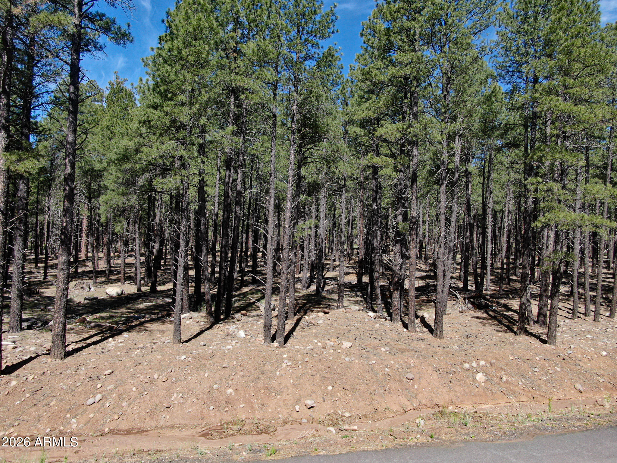 RANCH AT THE PEAKS PHASE 3 - Land